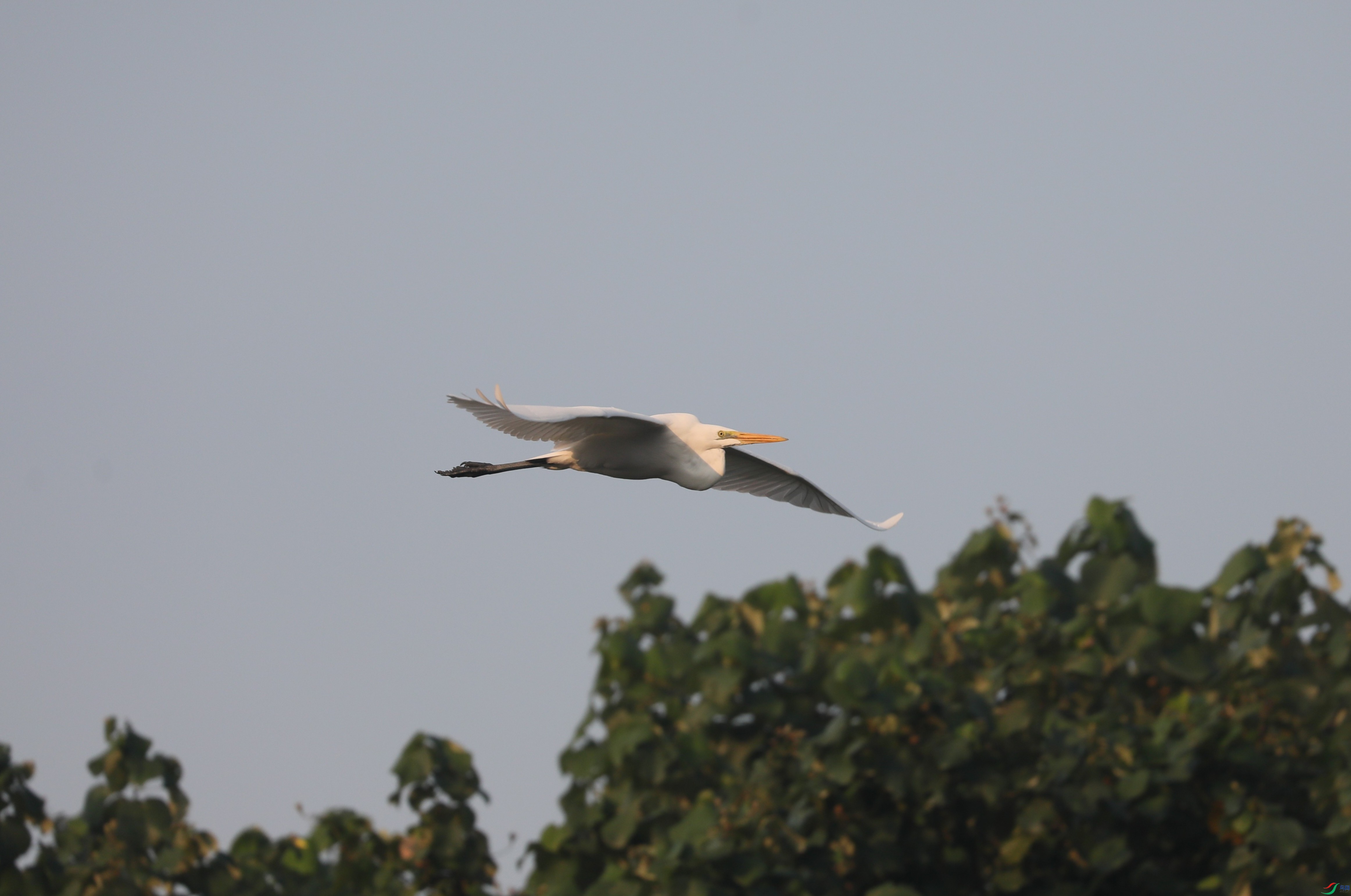 BL7A9816.JPG