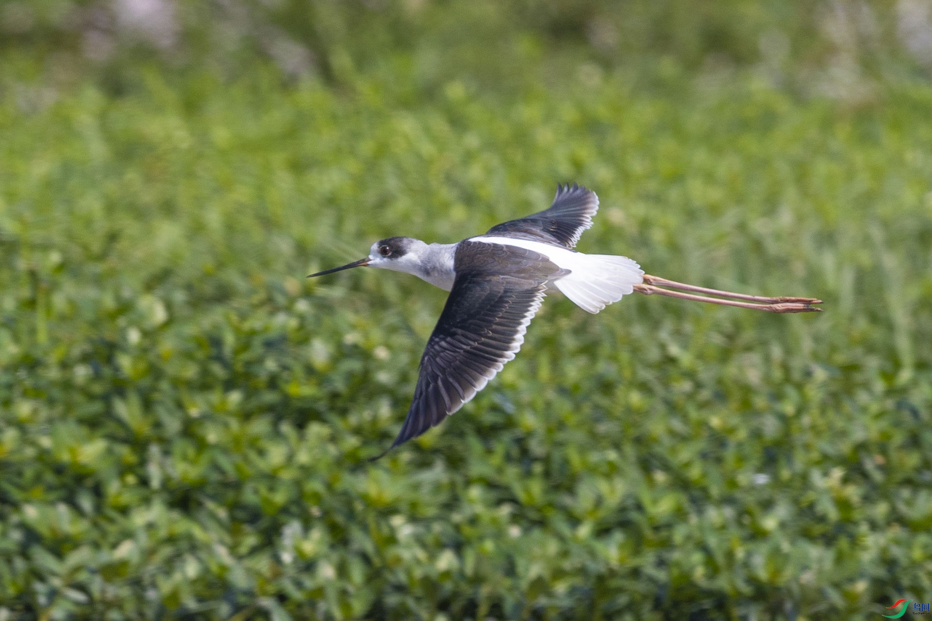 ����