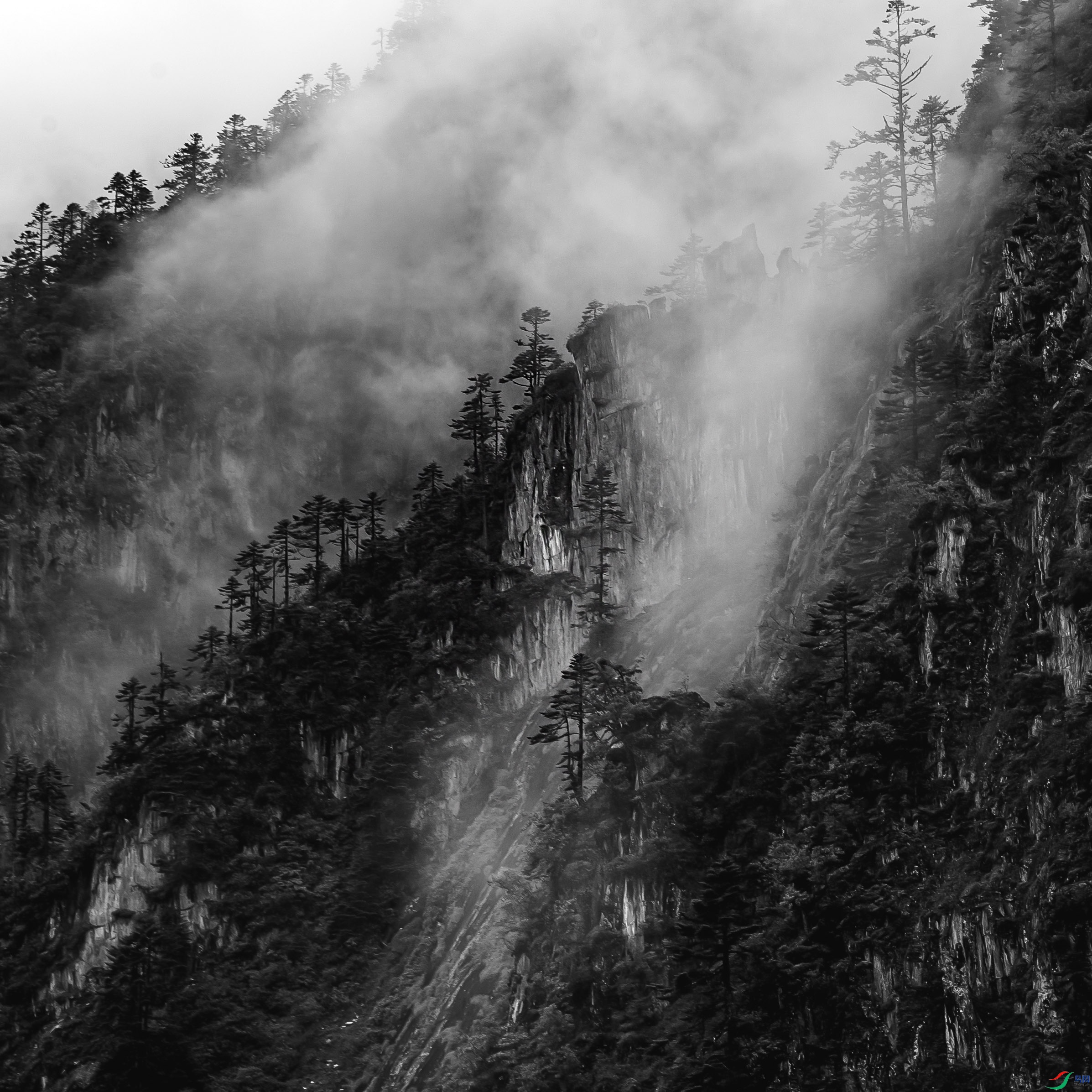 DSC_4174.jpg