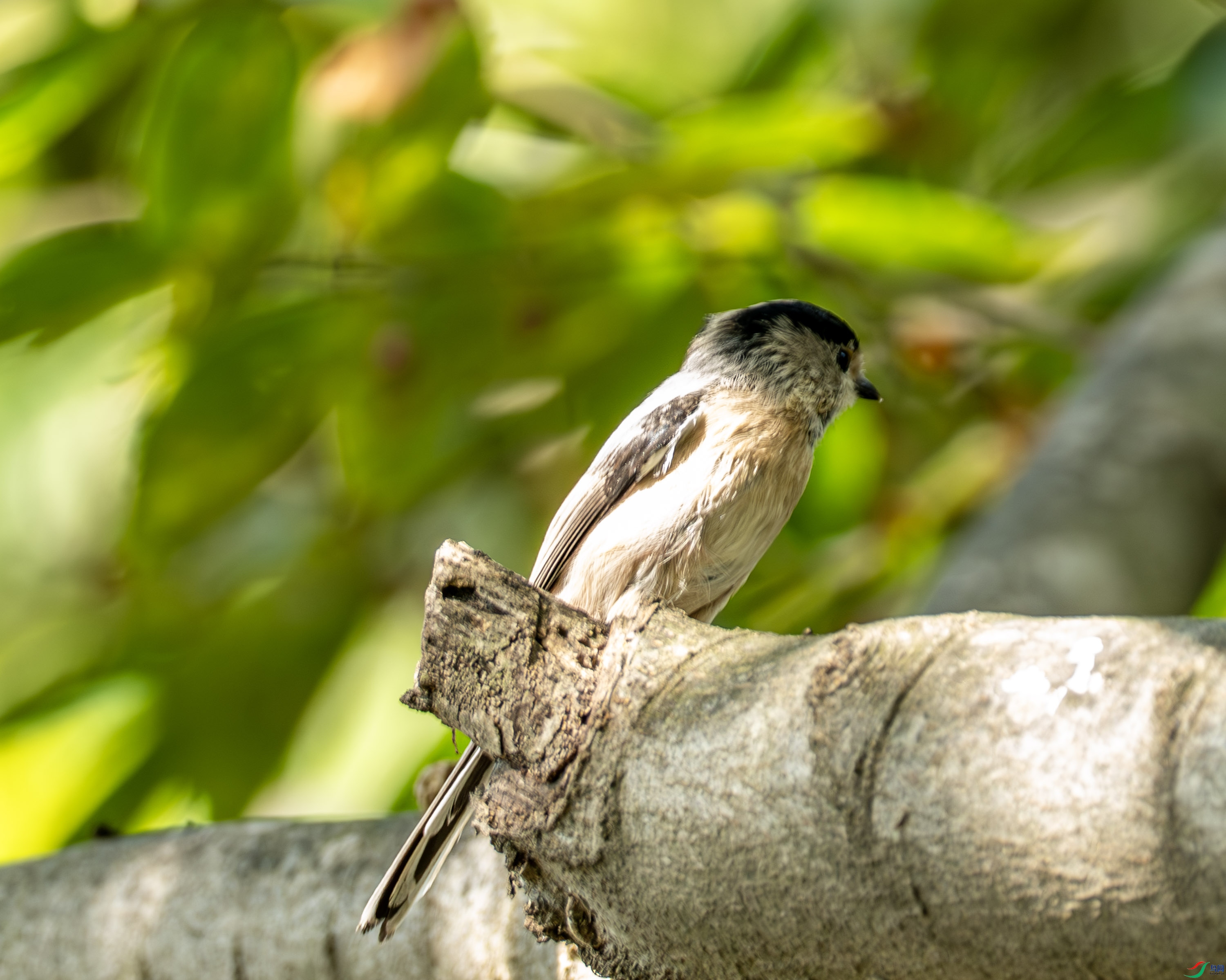 ������βɽȸ -1-12.jpg