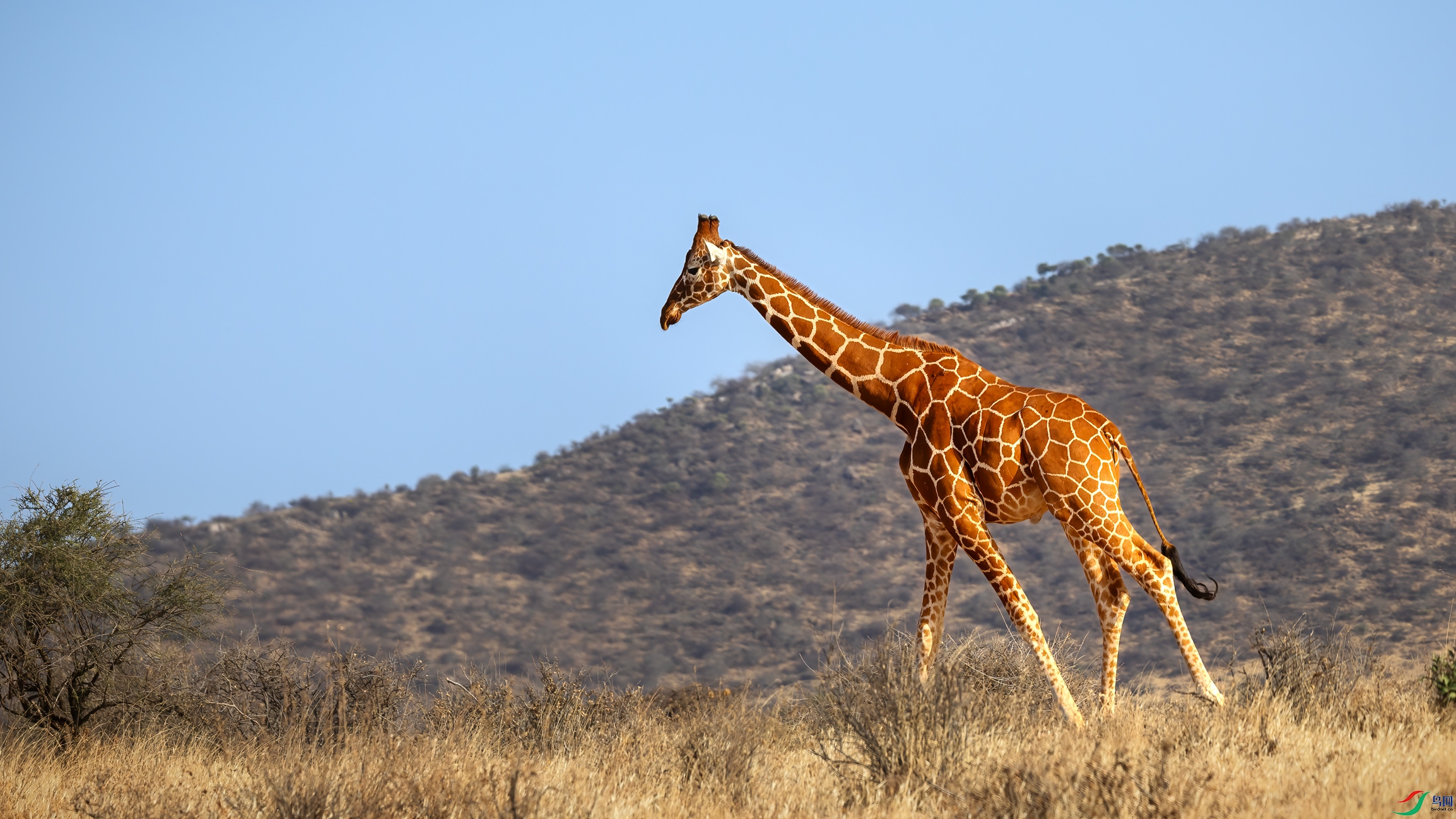 ����¹w .jpg