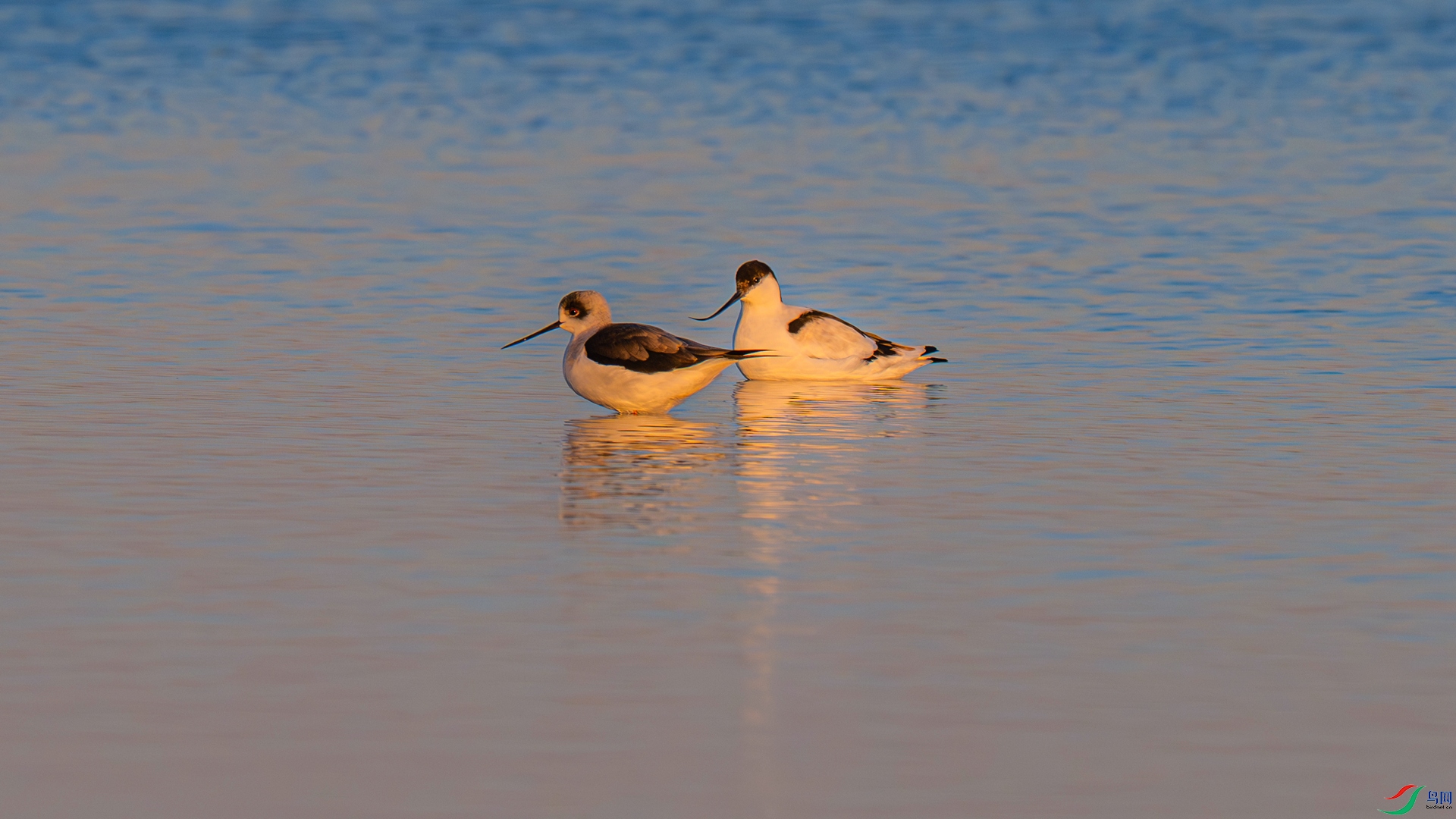 DSC_0009 ����_����.jpg