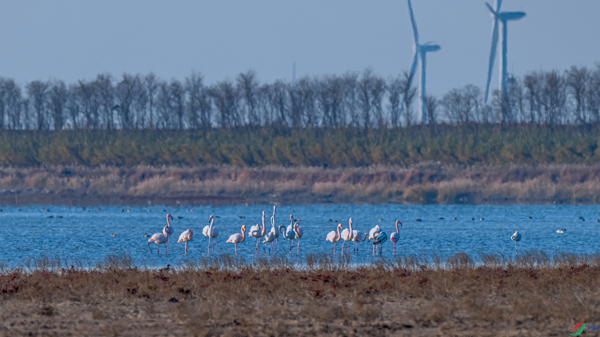 DSC_0829 ����_����_����.jpg