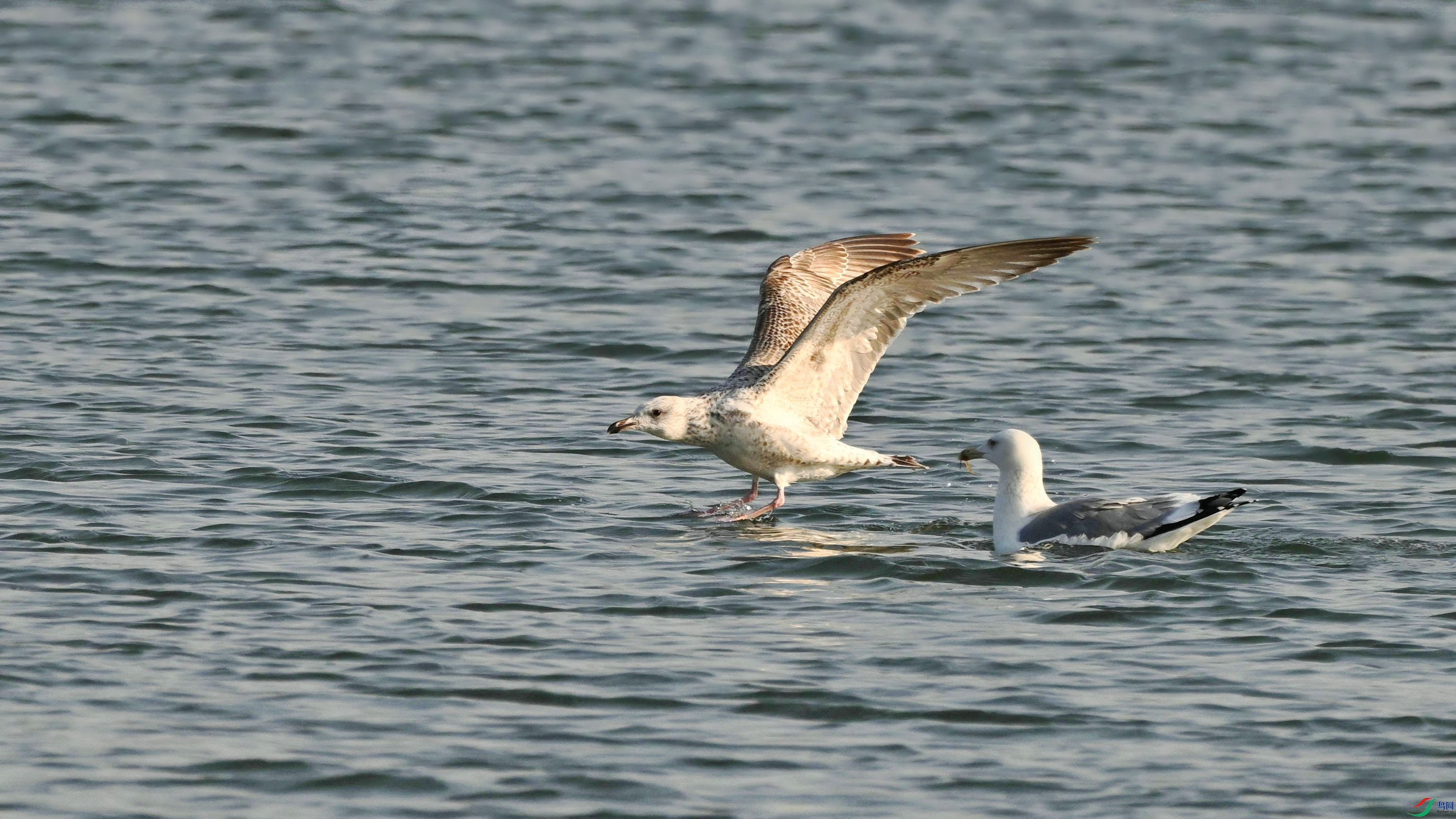 DSC_5352.JPG