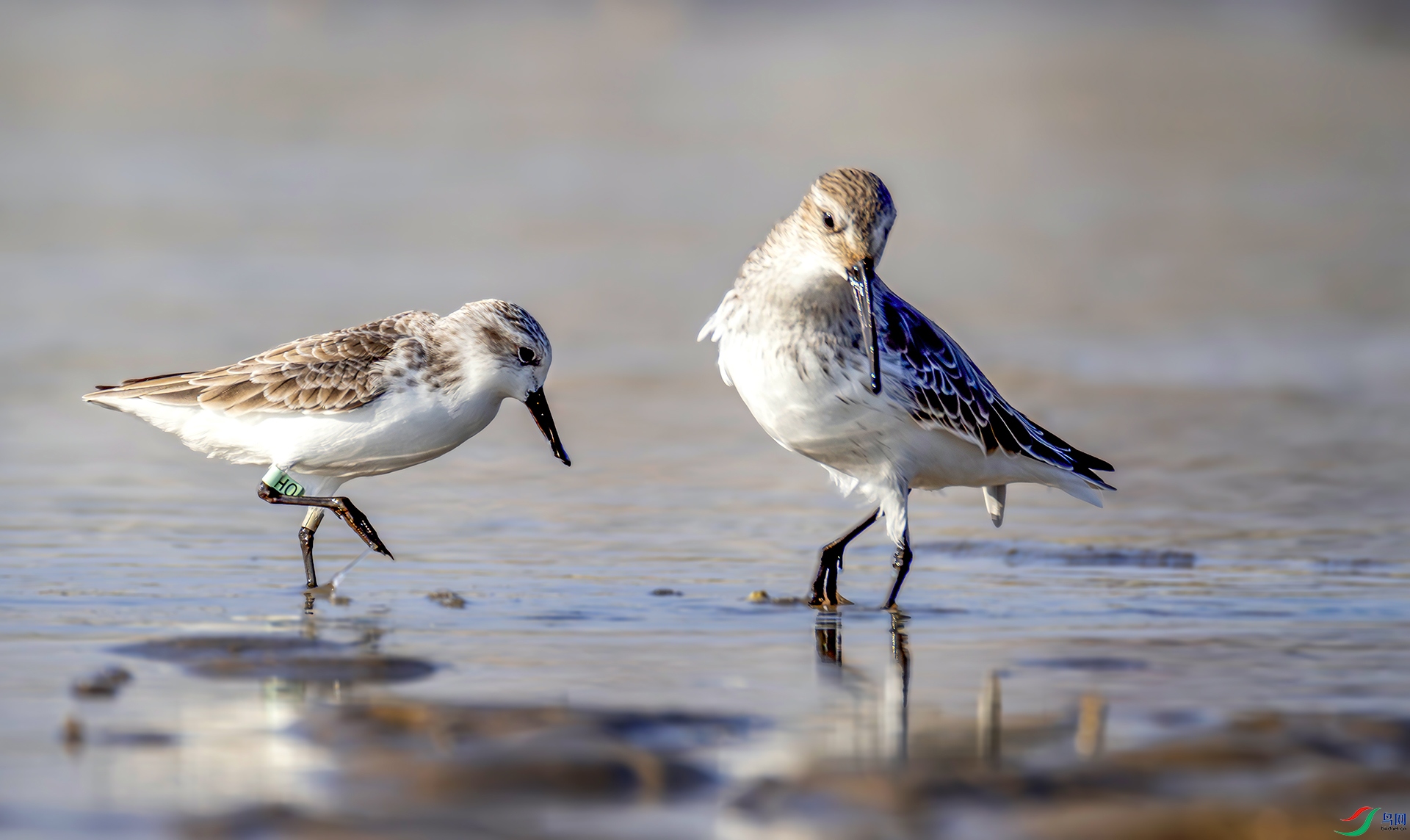 407A8023-----33  .jpg