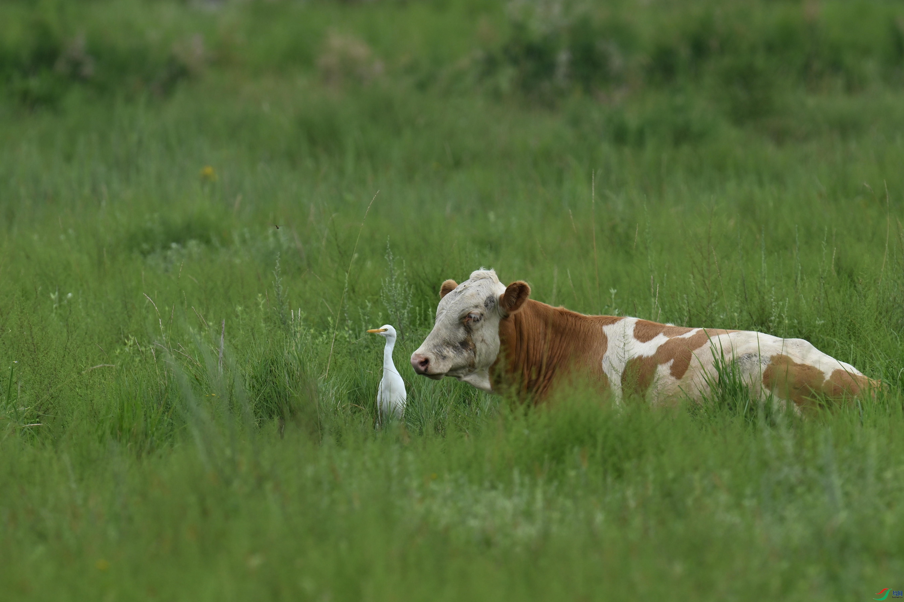 ţ���� (7).jpg