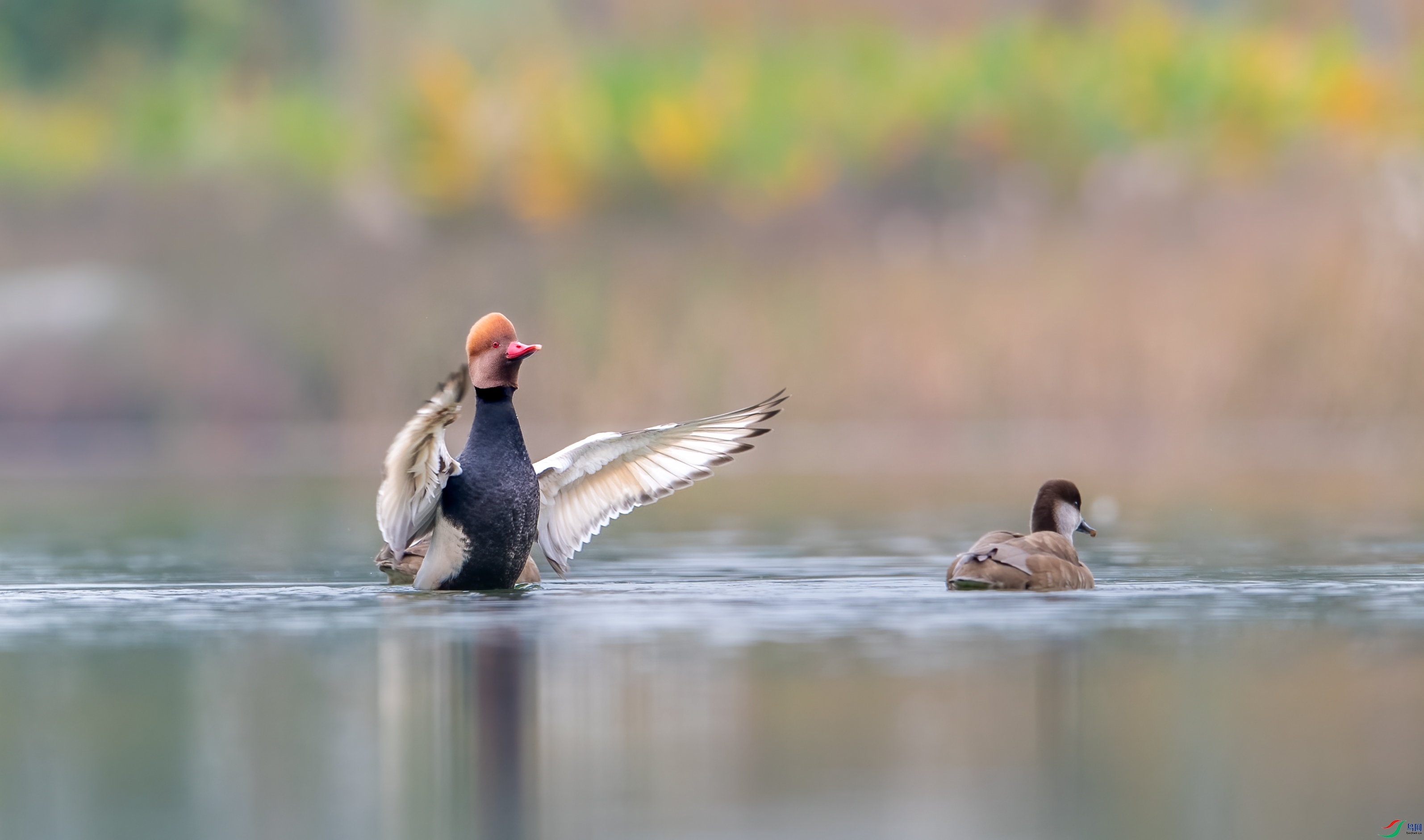 DSC_1012-1.jpg