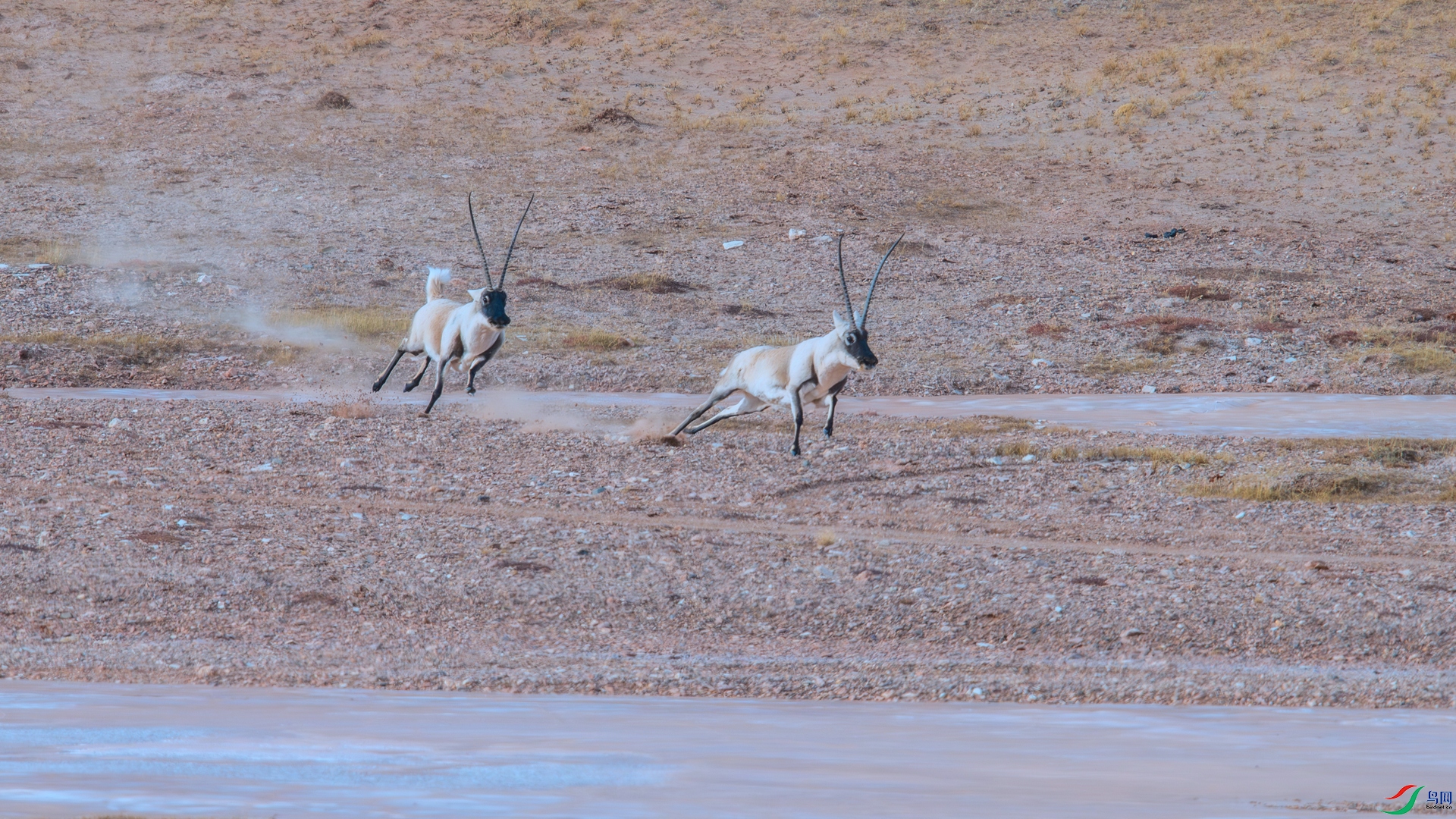 _DSC1480 ����_����.jpg