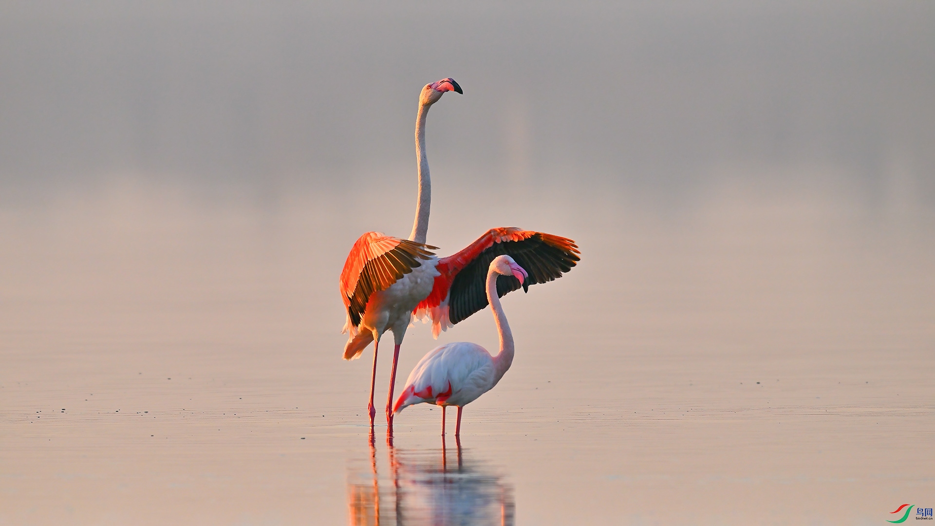 XHH_2006 ���� 2.jpg