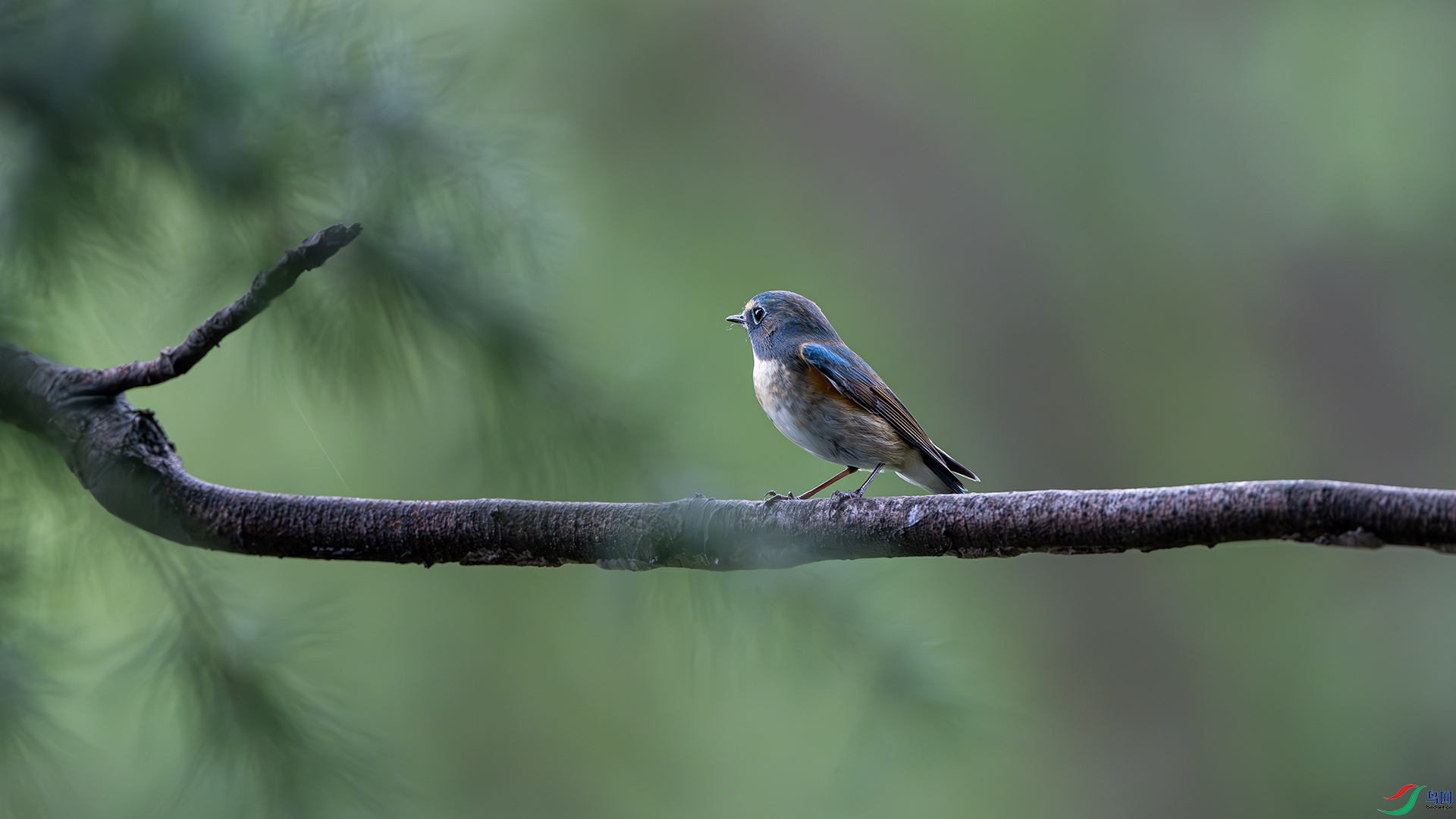 DSC_1586-����ǿ-NR ����.jpg