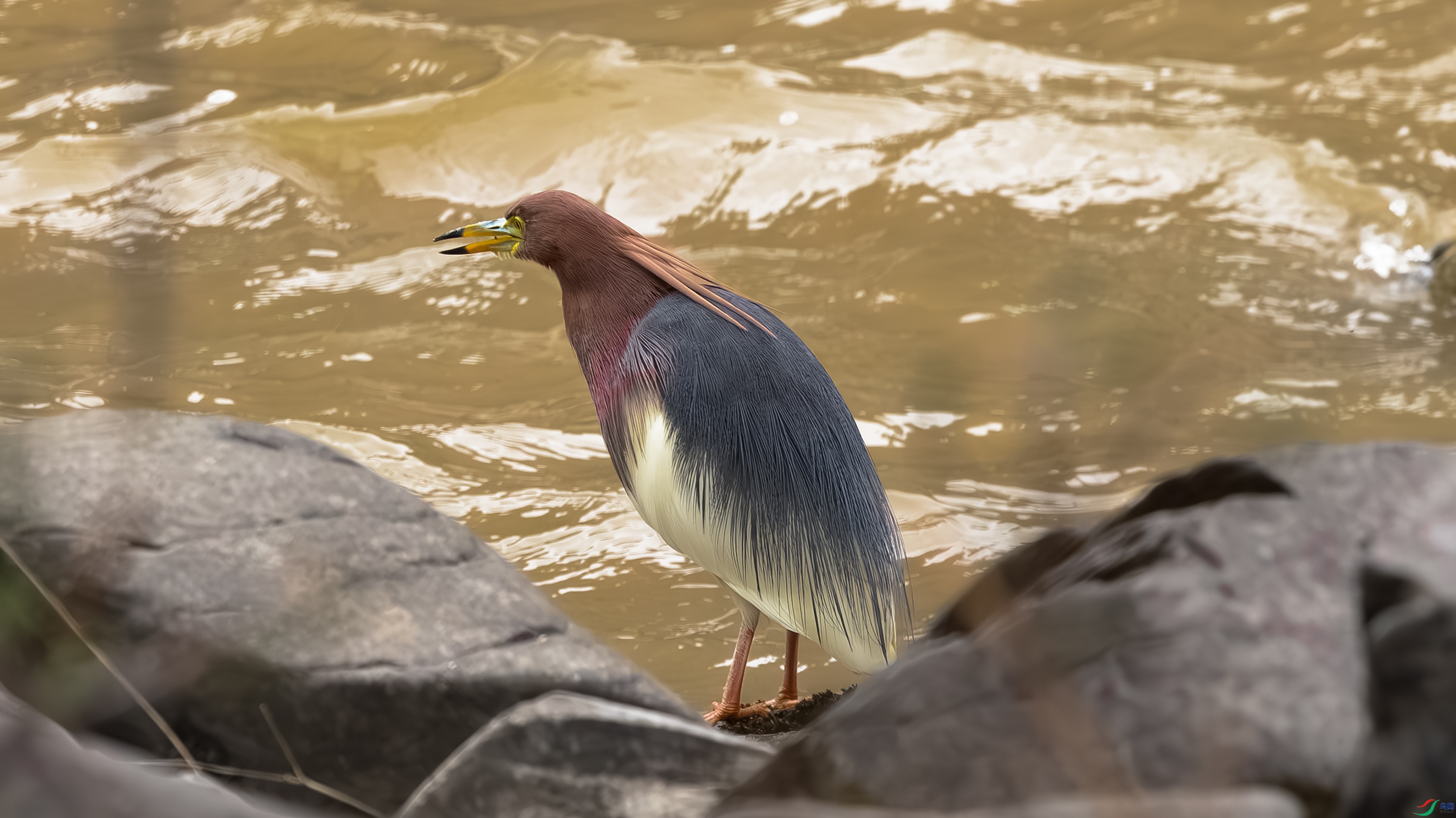 7X5A2186 ����.jpg