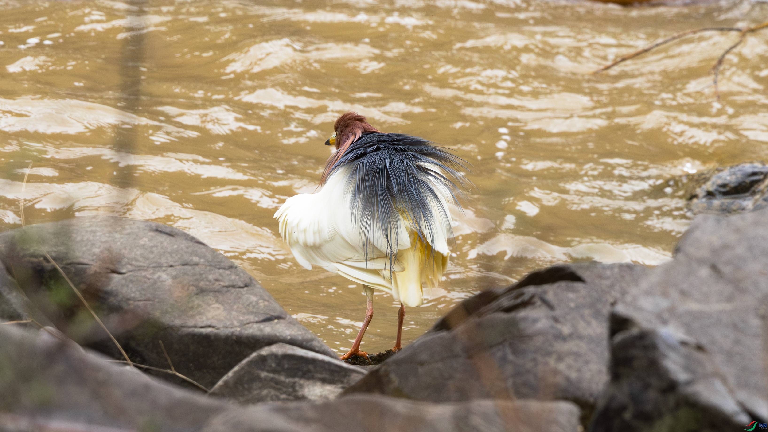 7X5A2177 ����.jpg