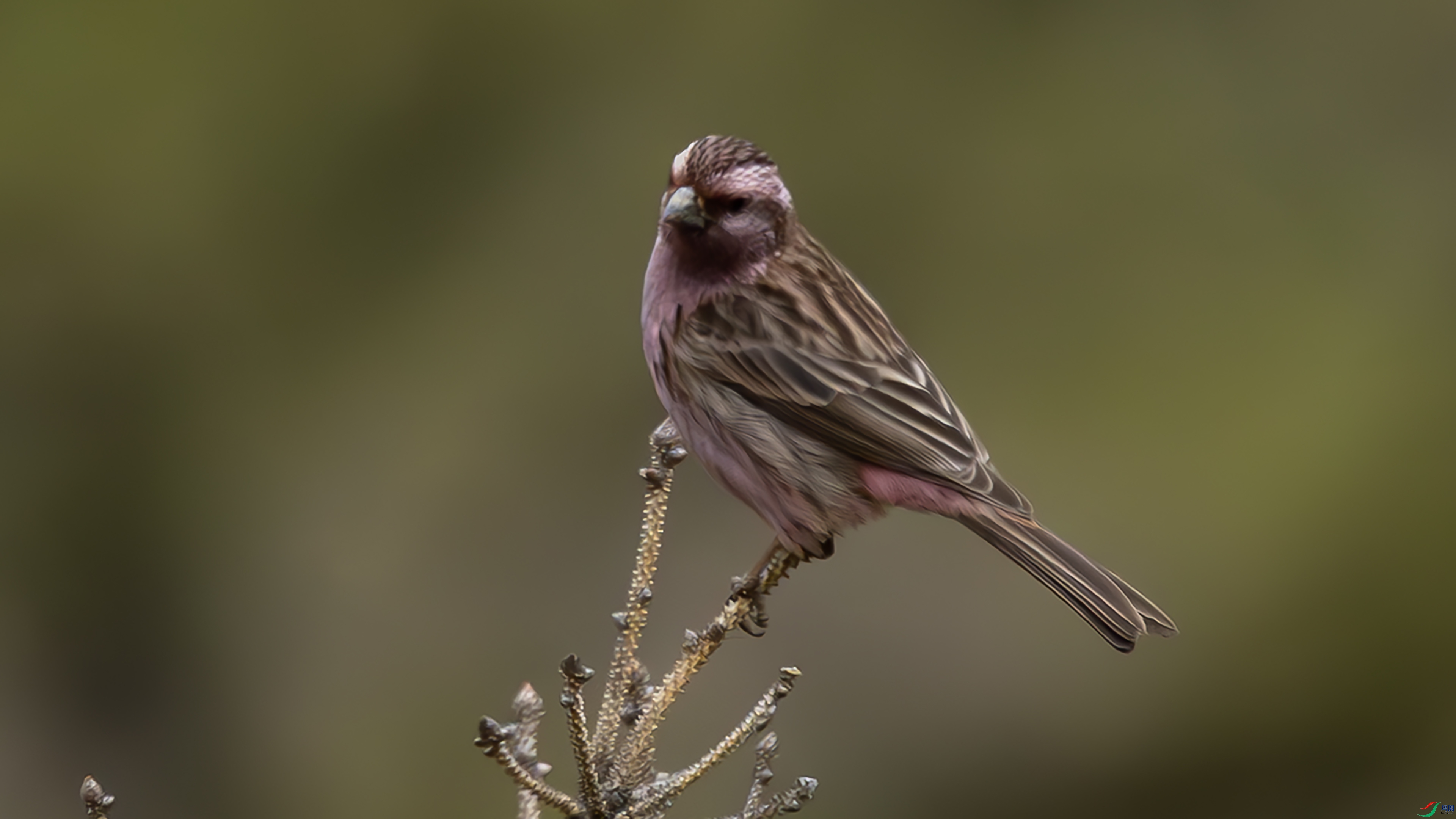 7X5A2070 ����4544.jpg