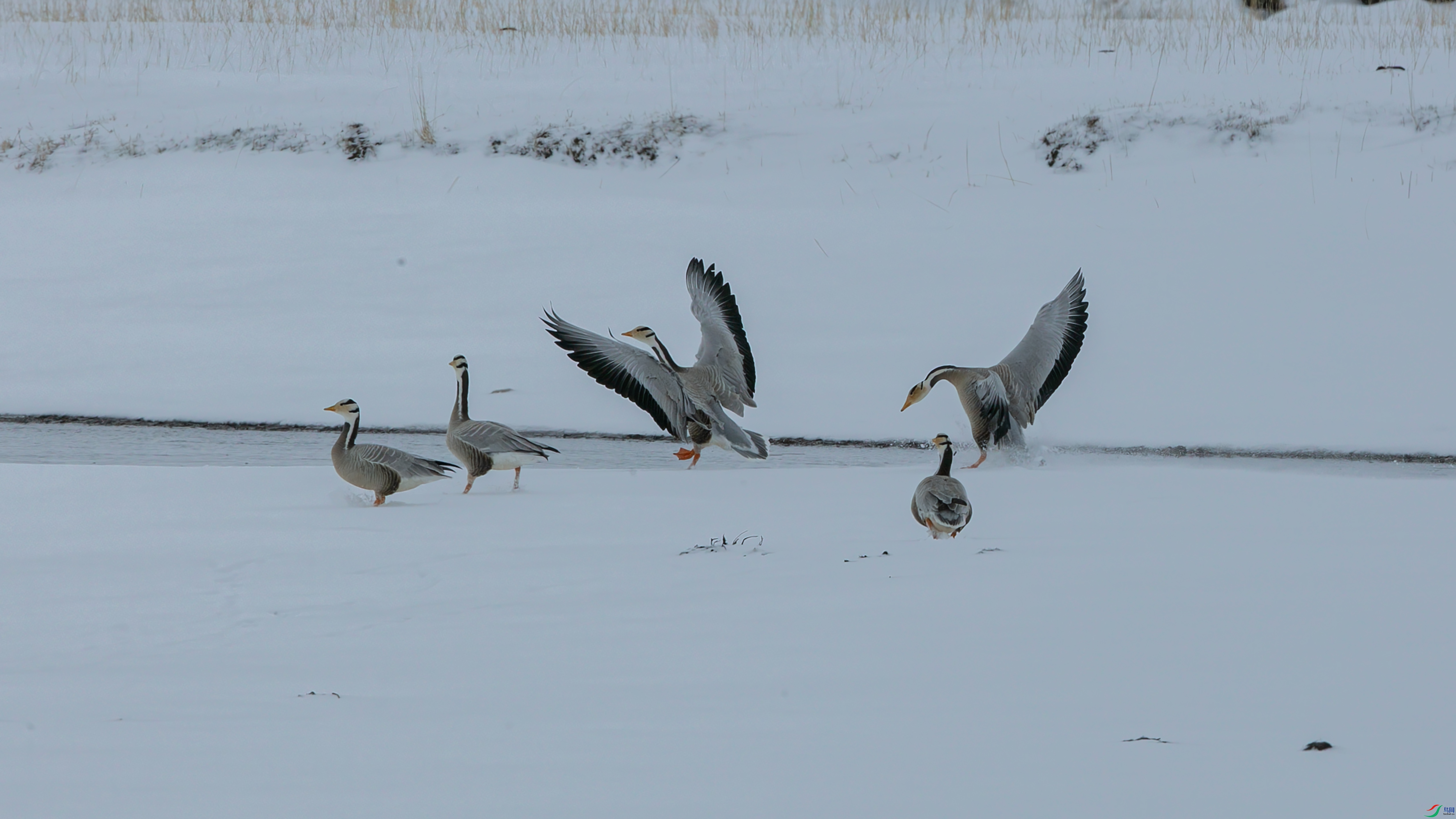 X39A4770 ����.jpg