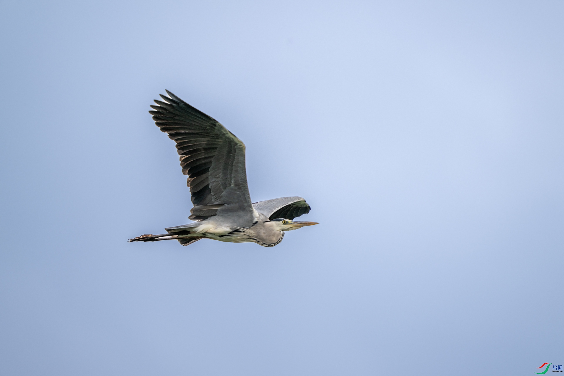 DSC_3481-1.jpg
