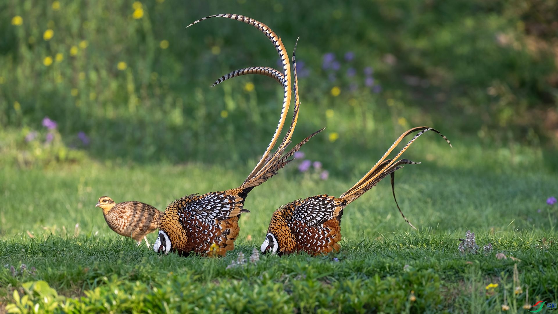 _DSC5052 ����.jpg