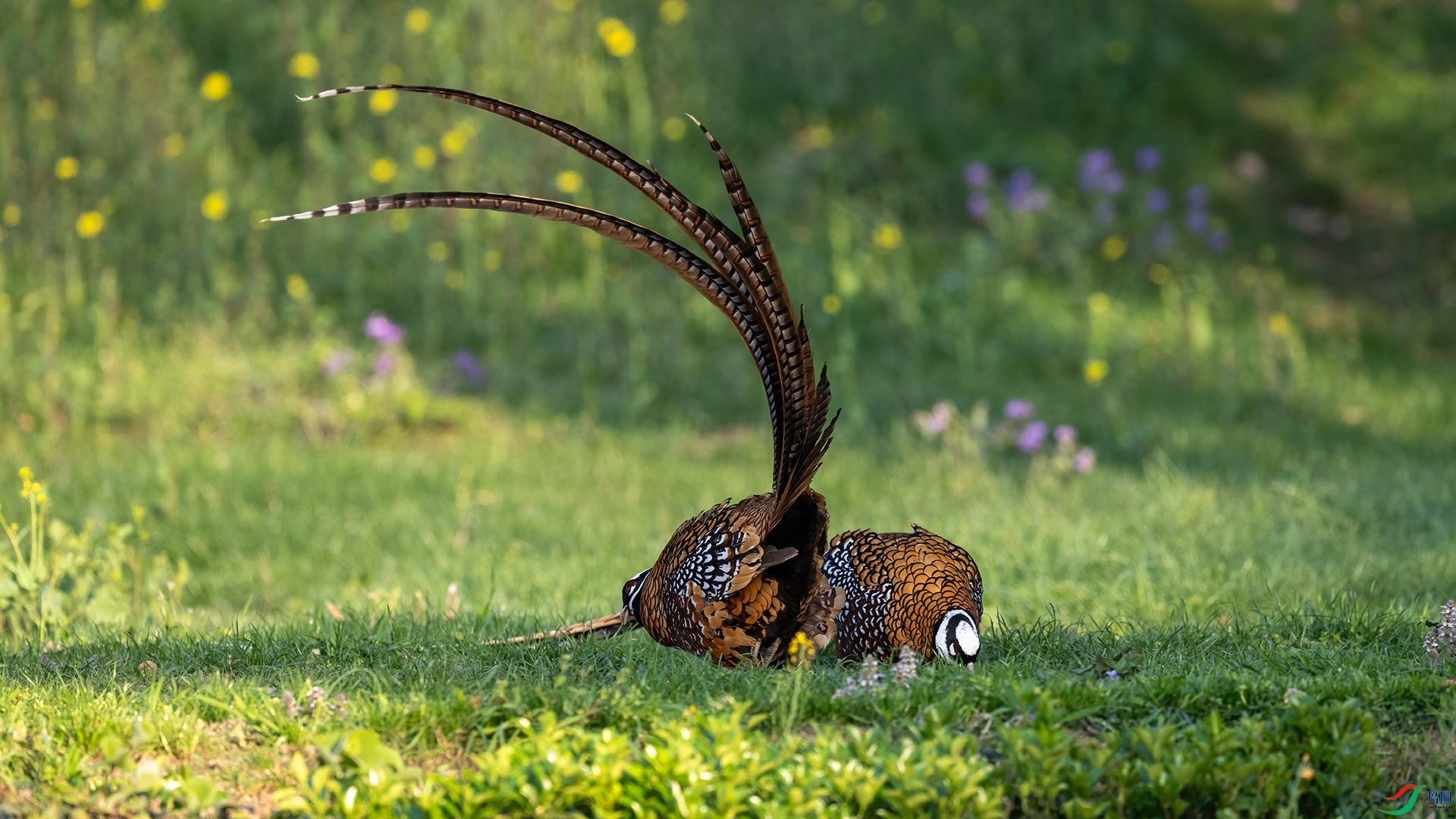 _DSC5188 ����.jpg