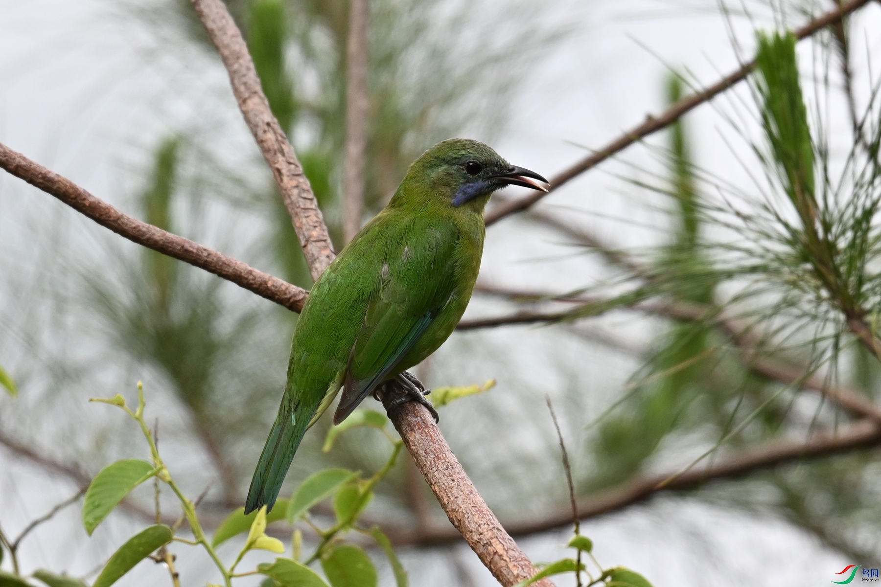 DSC_9765.JPG
