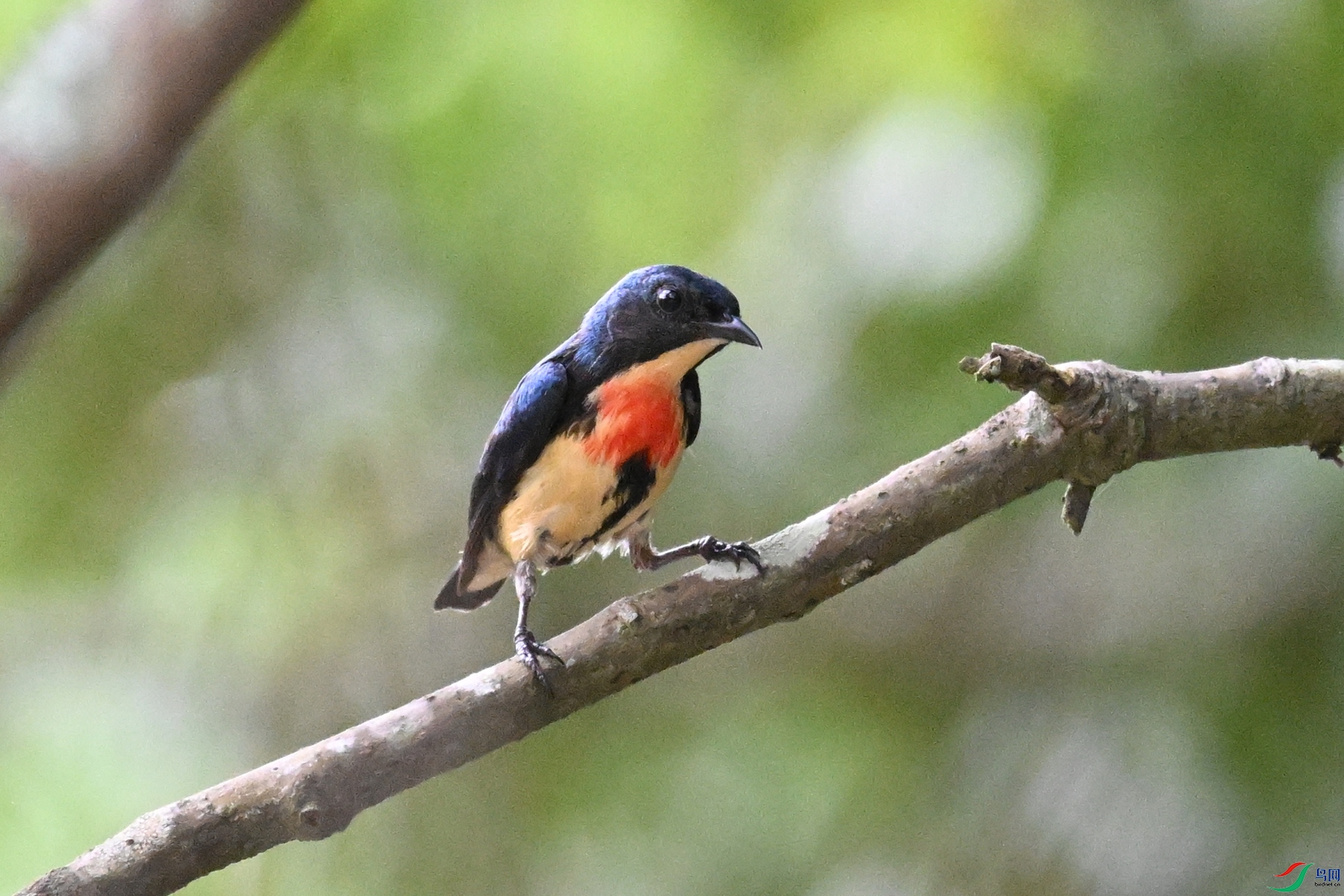 DSC_9823.JPG