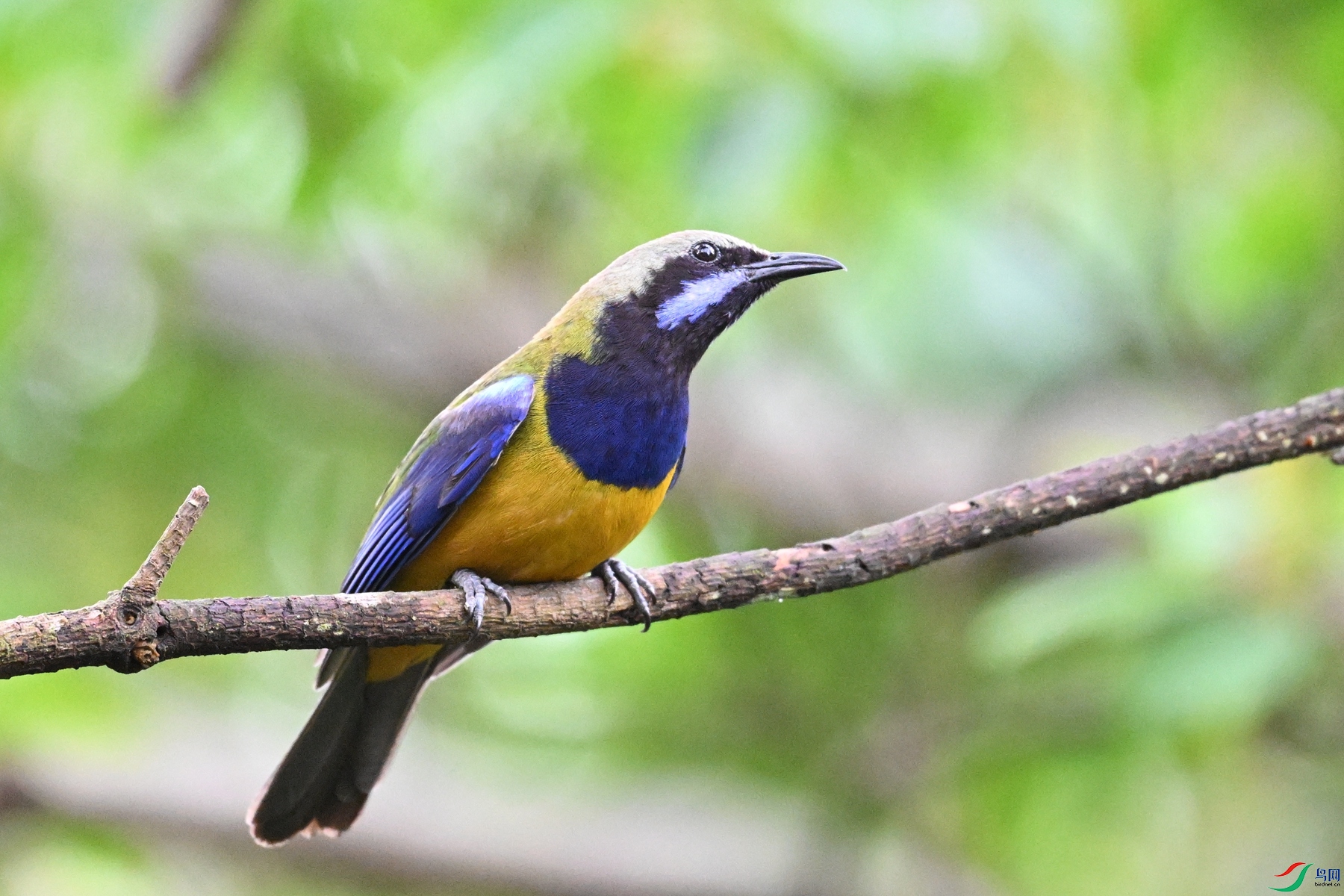 DSC_9773.JPG