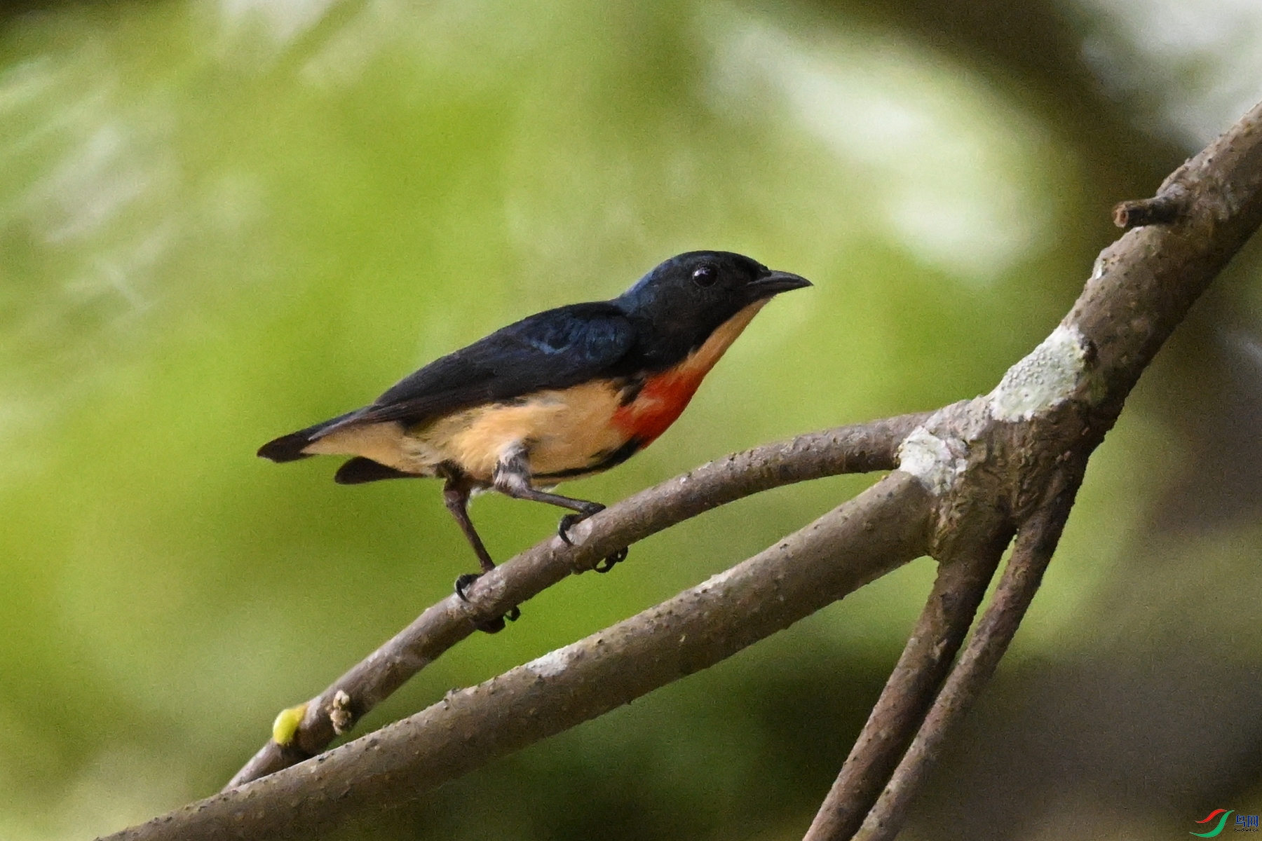 DSC_9811.JPG