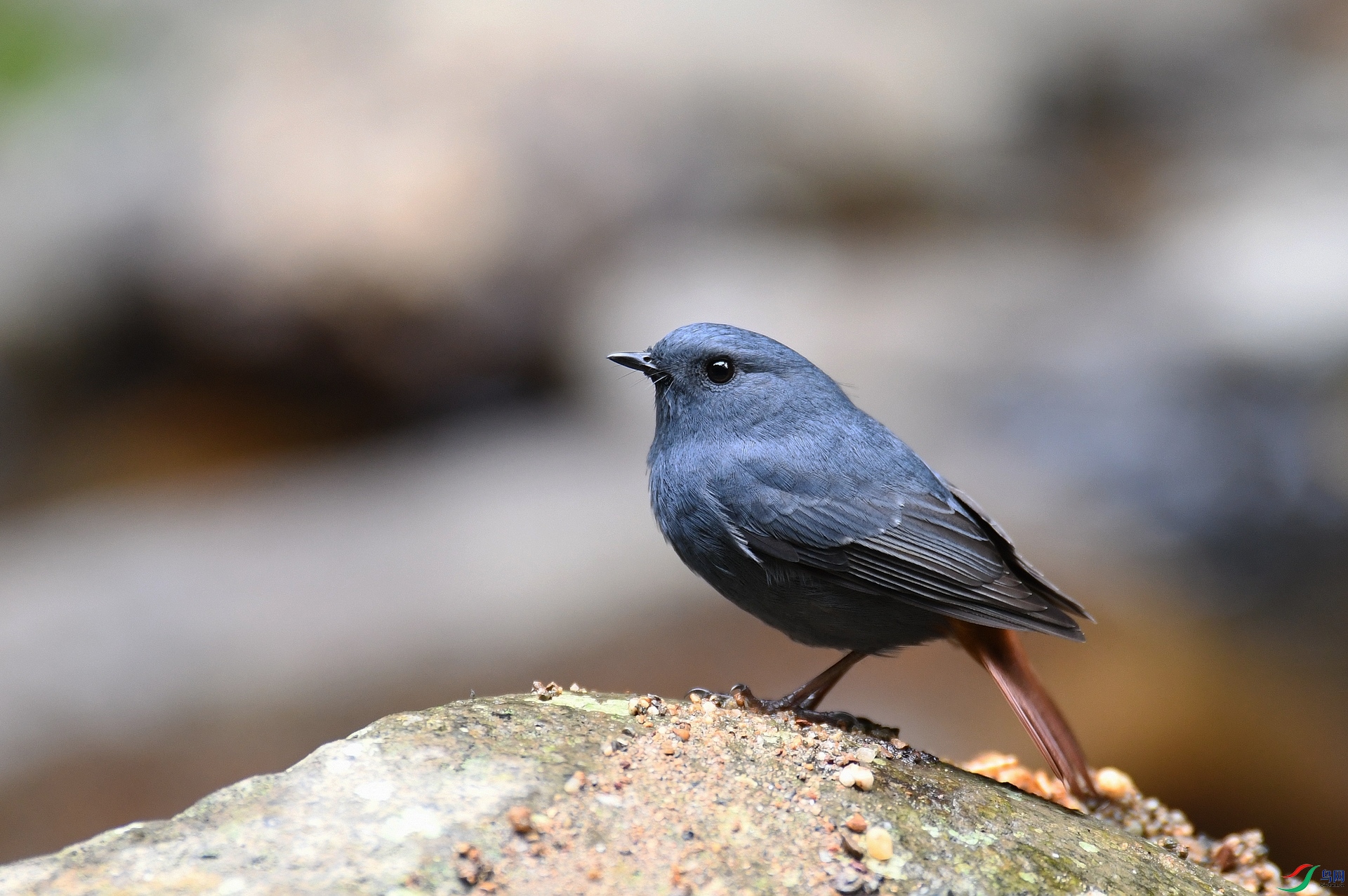 DSC_0920.jpg