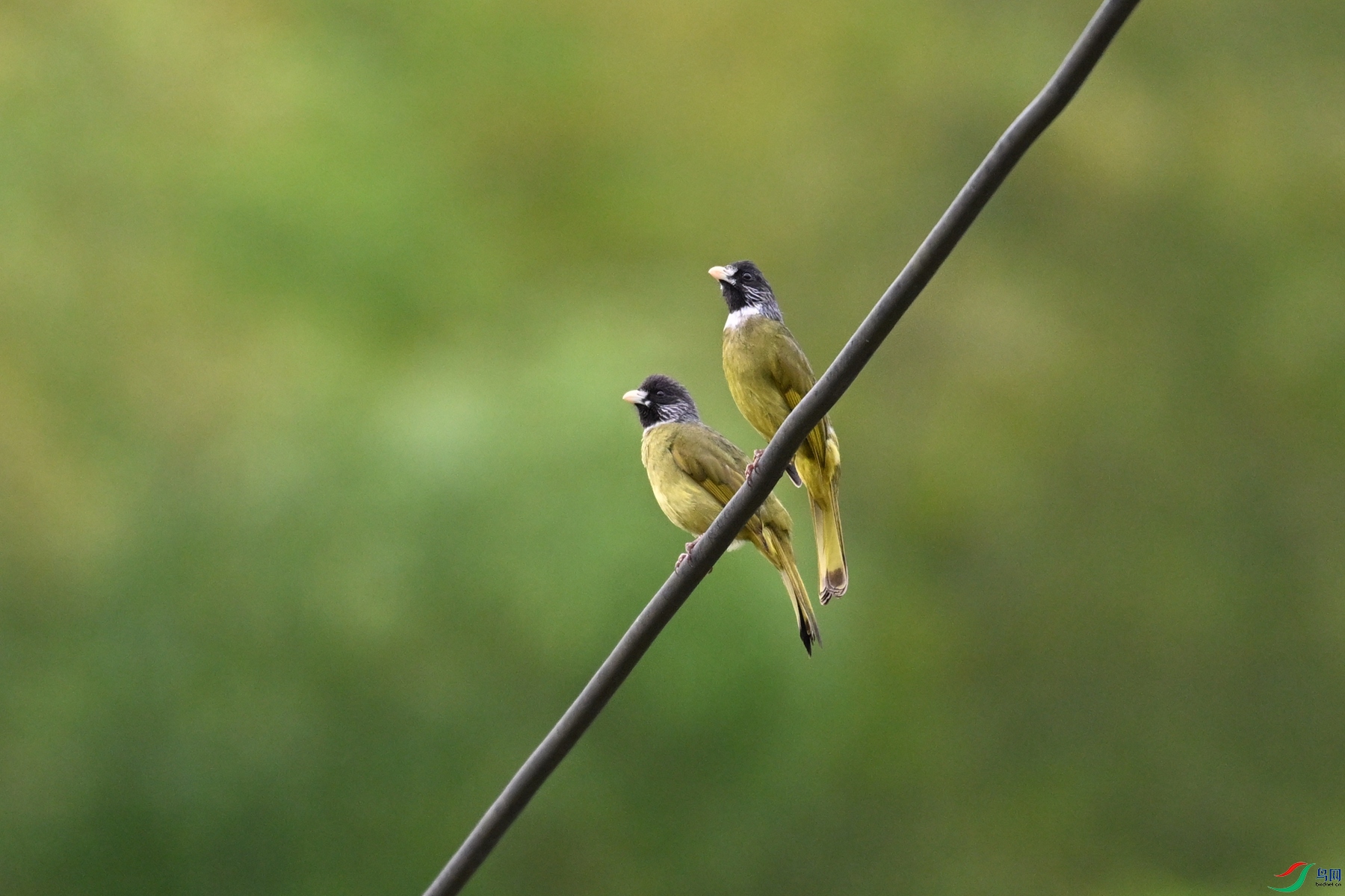 DSC_9786.JPG