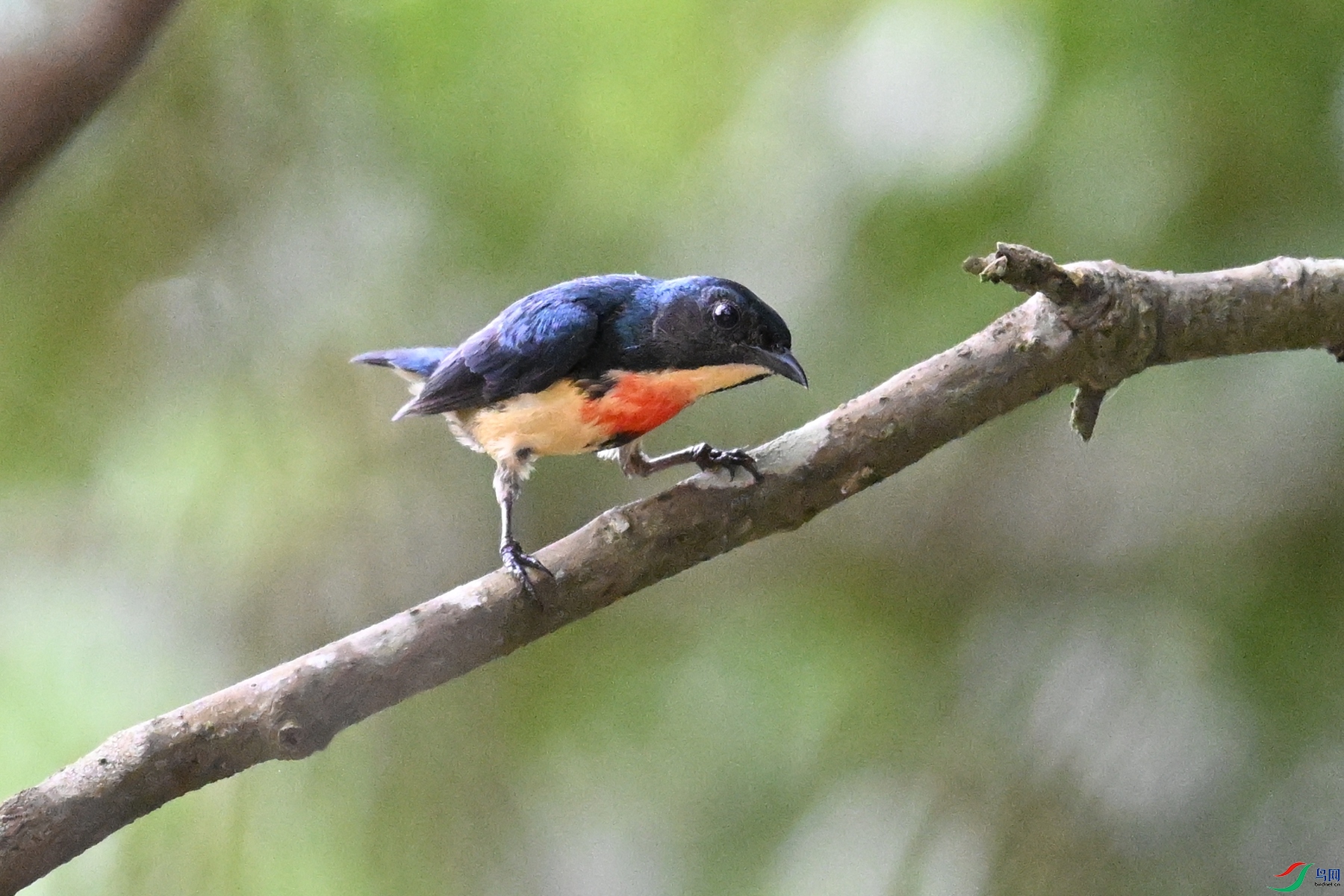 DSC_9825.JPG