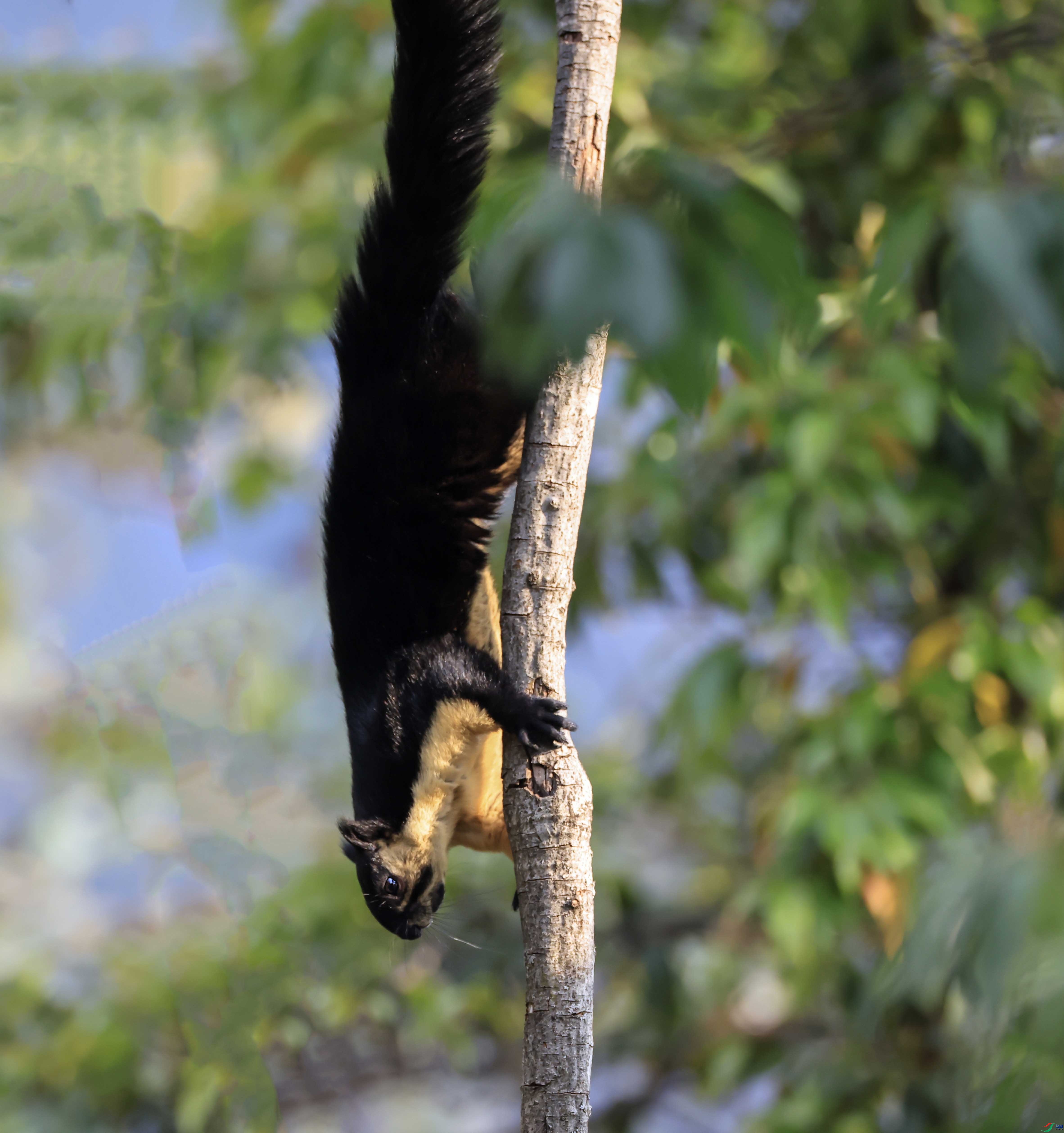 1-xt4L2A9248 ���� -����.jpg