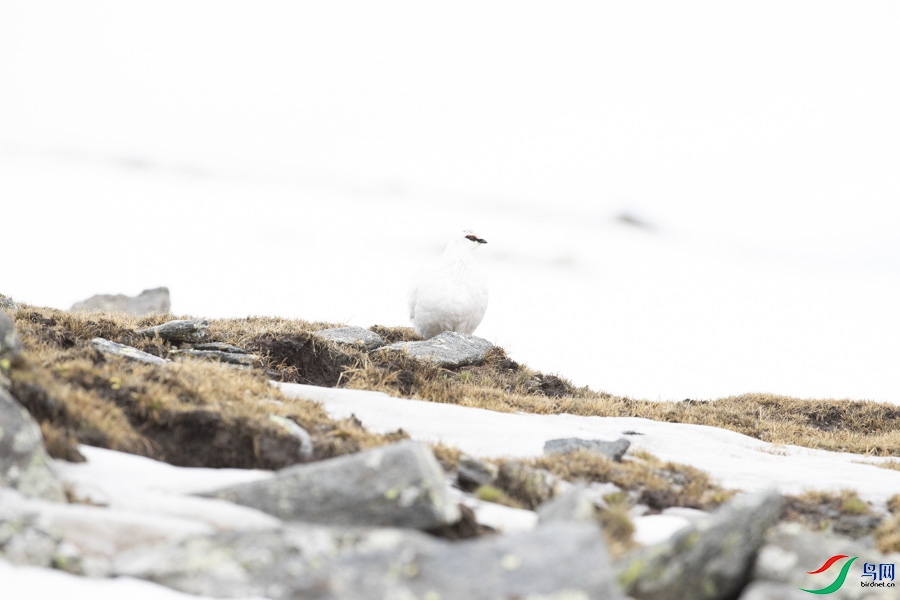 _MG_9441.jpg
