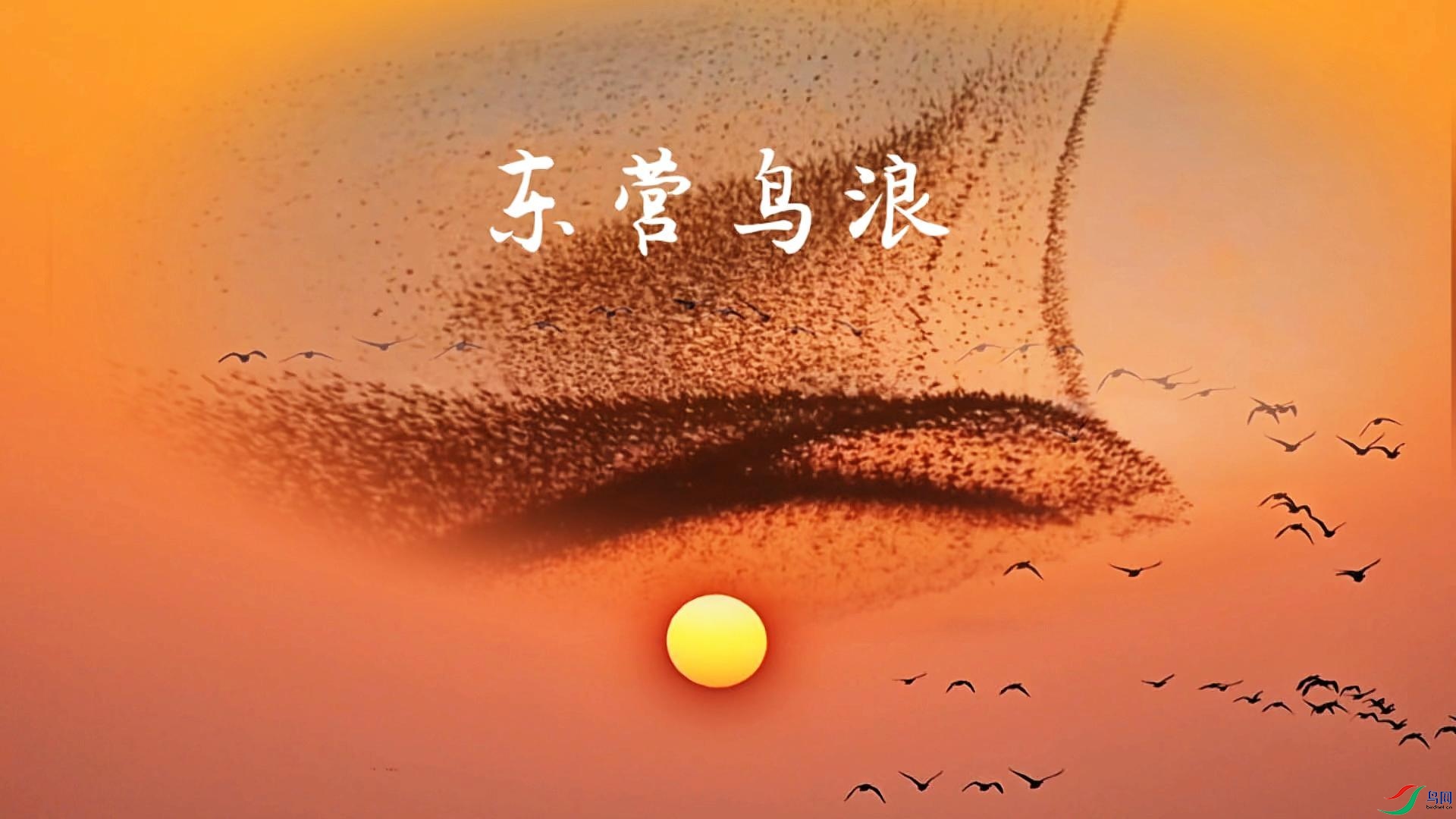 12��10�� (2)-����.jpg