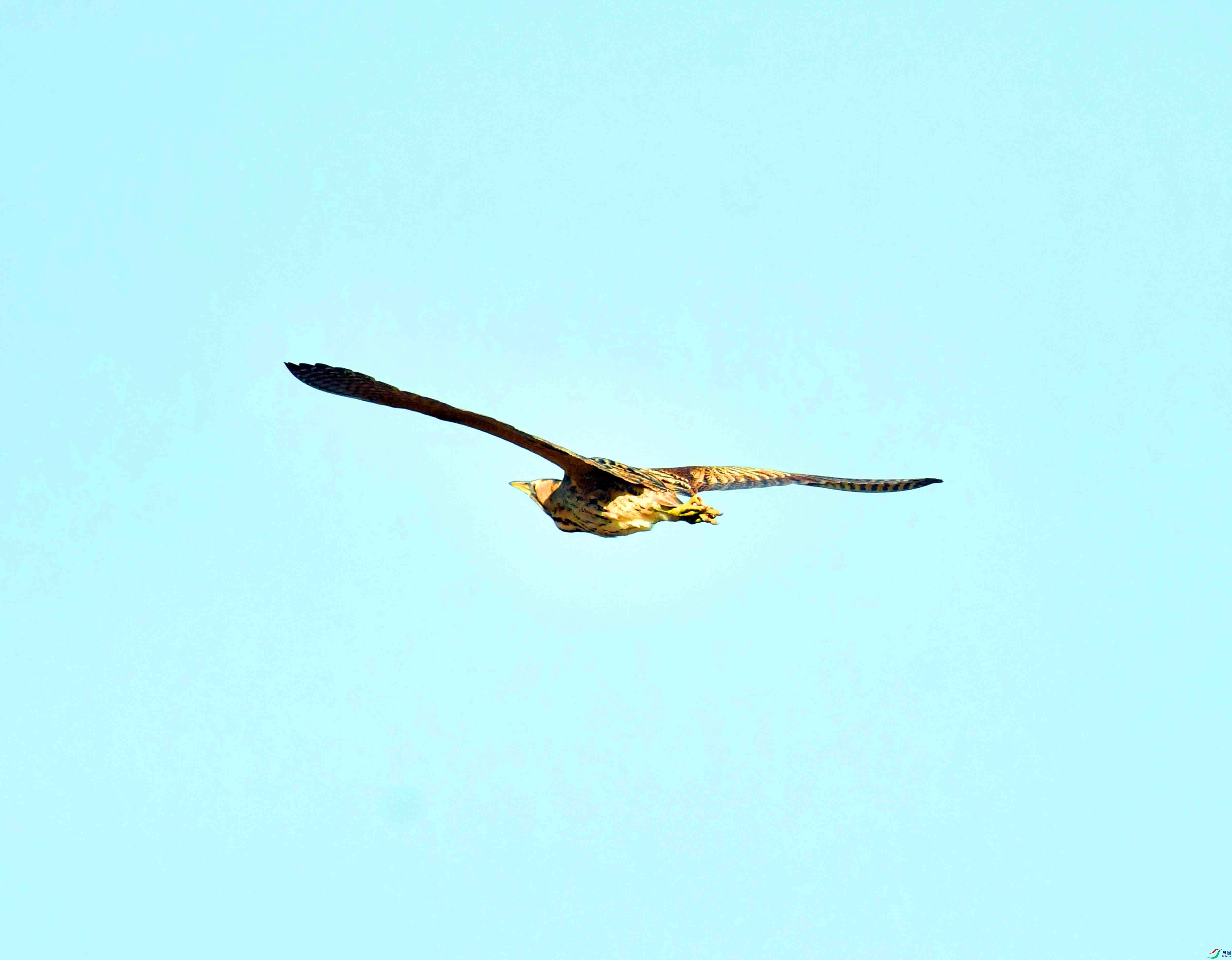 DSC_0185.JPG