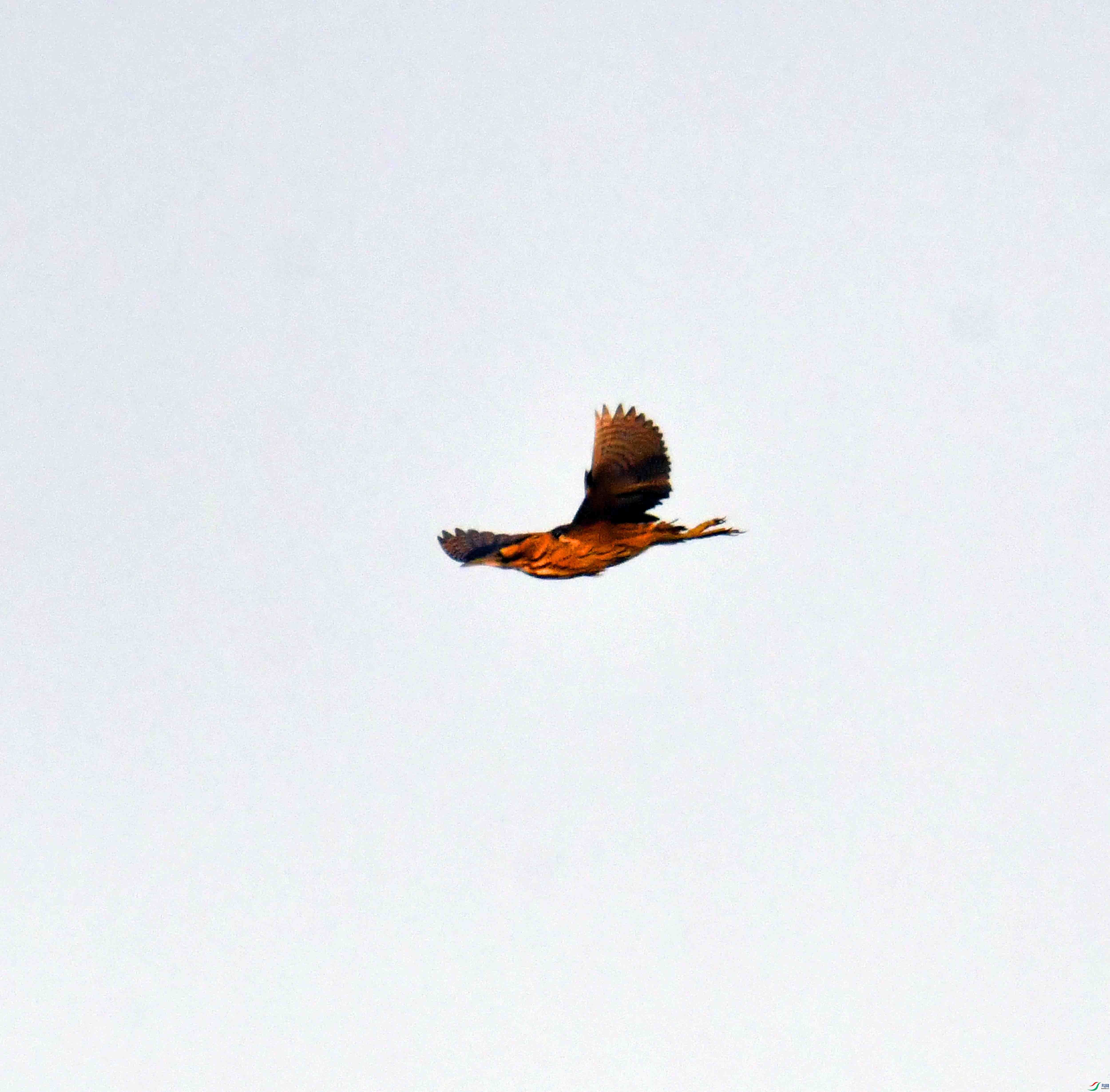 DSC_2213.JPG