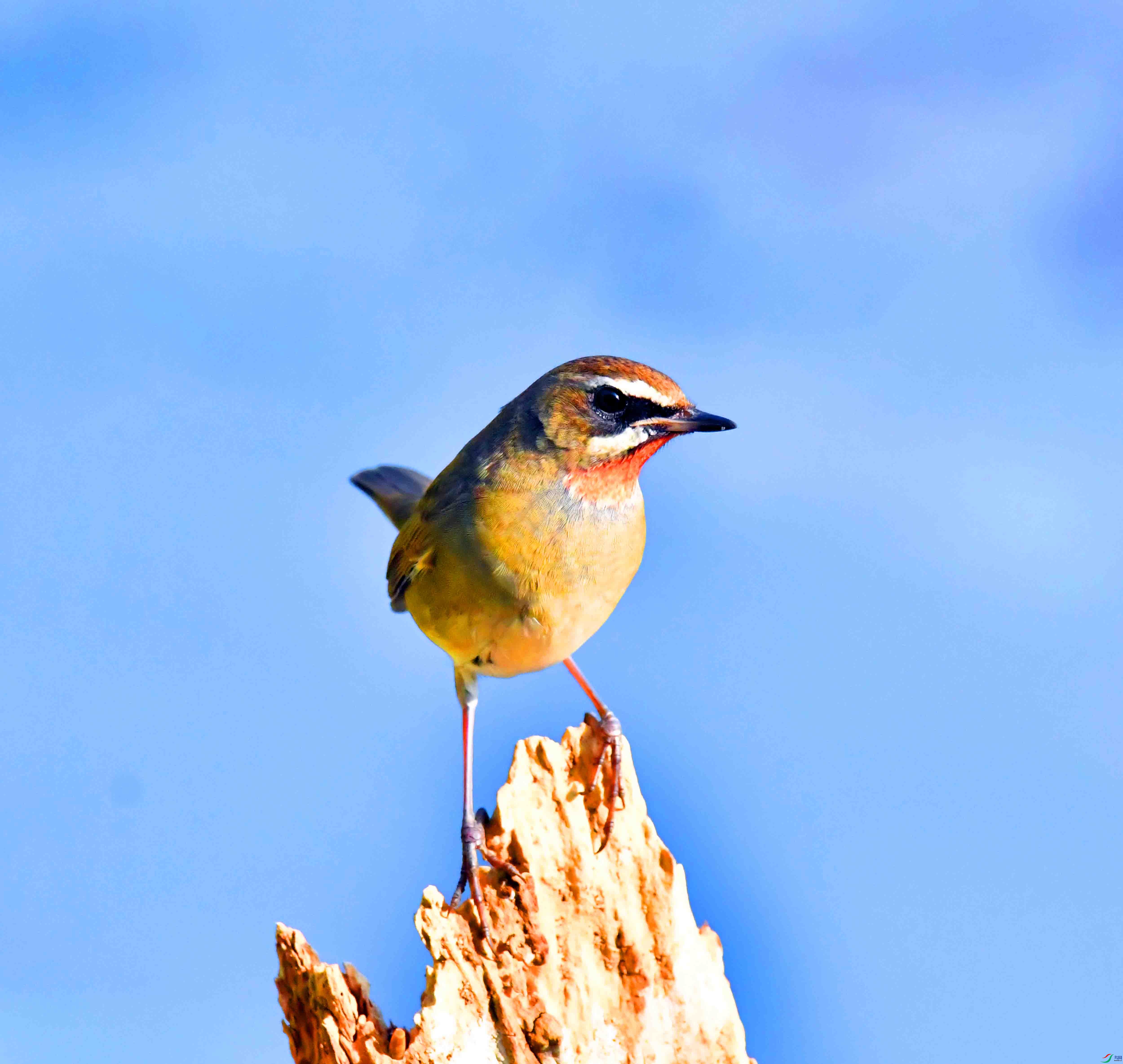 DSC_6032.JPG