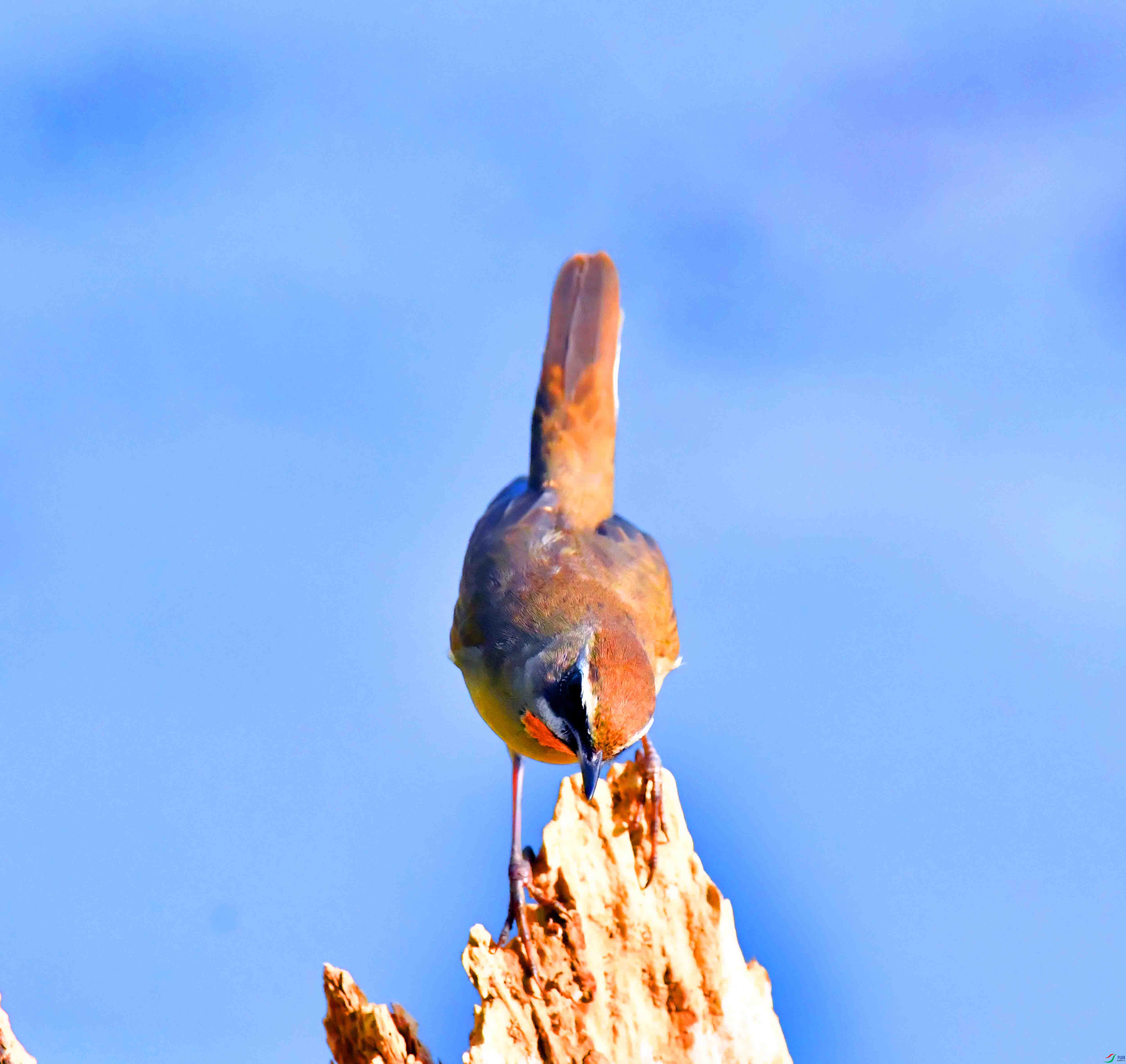 DSC_6044.JPG