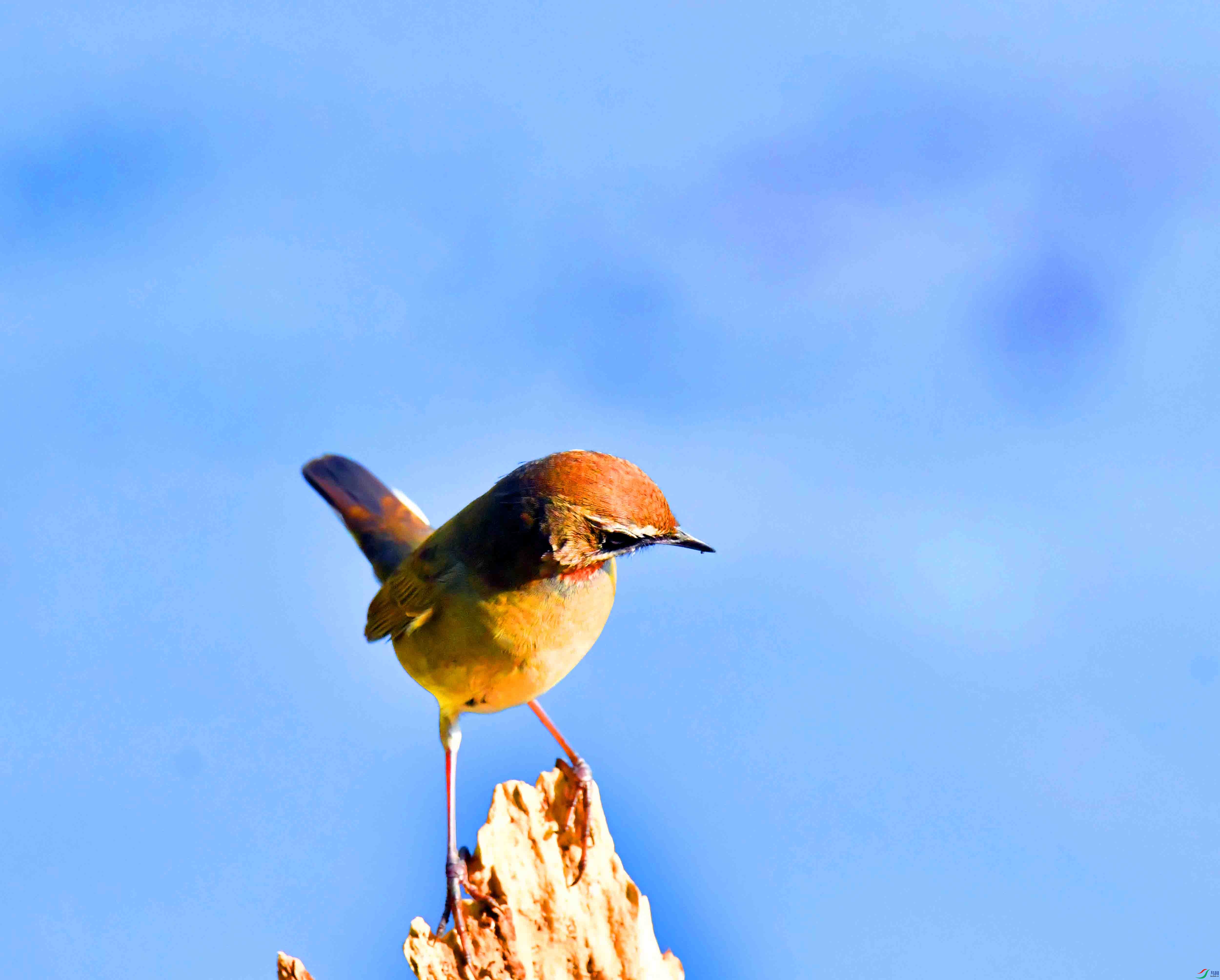 DSC_6038.JPG