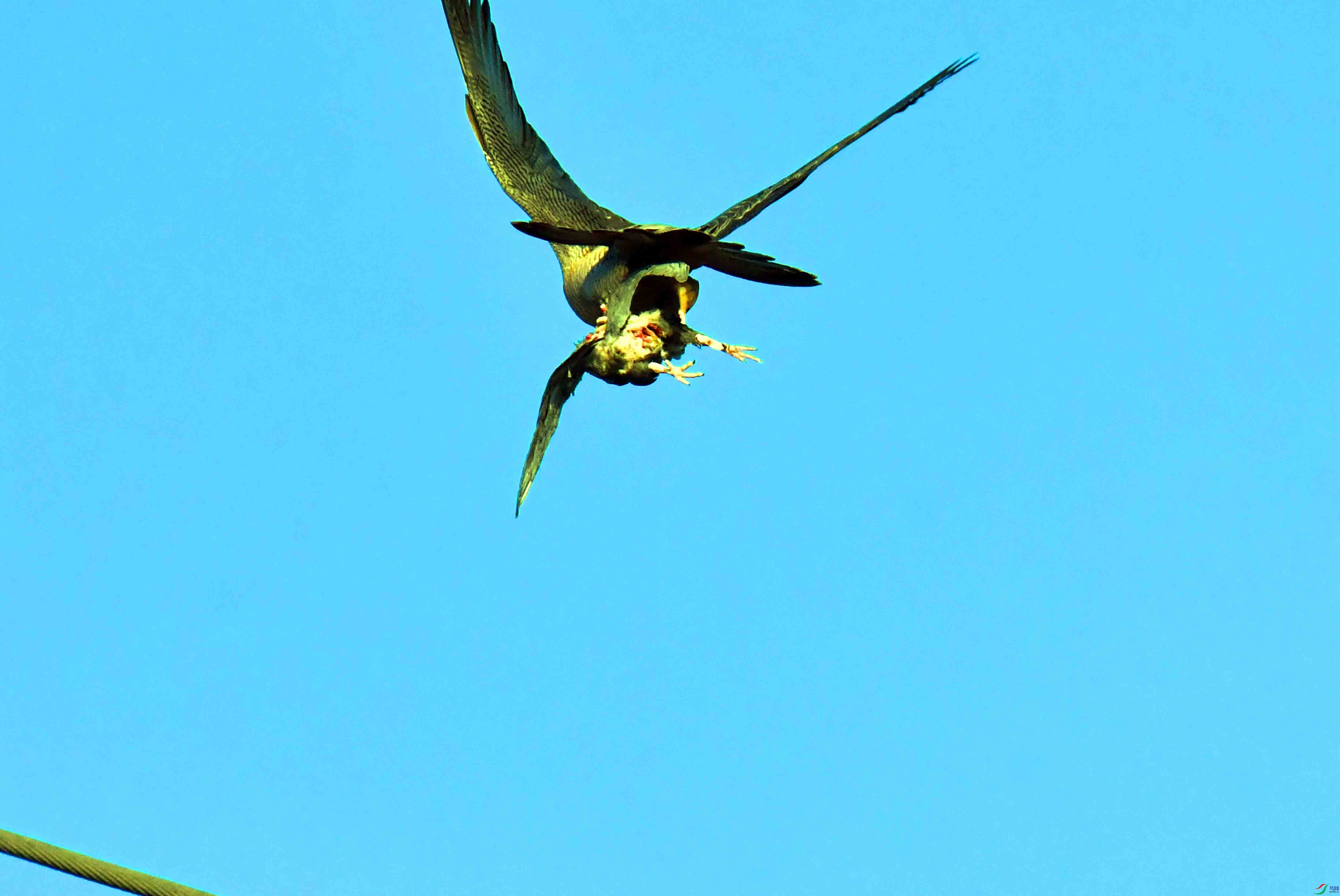 DSC_4804.JPG