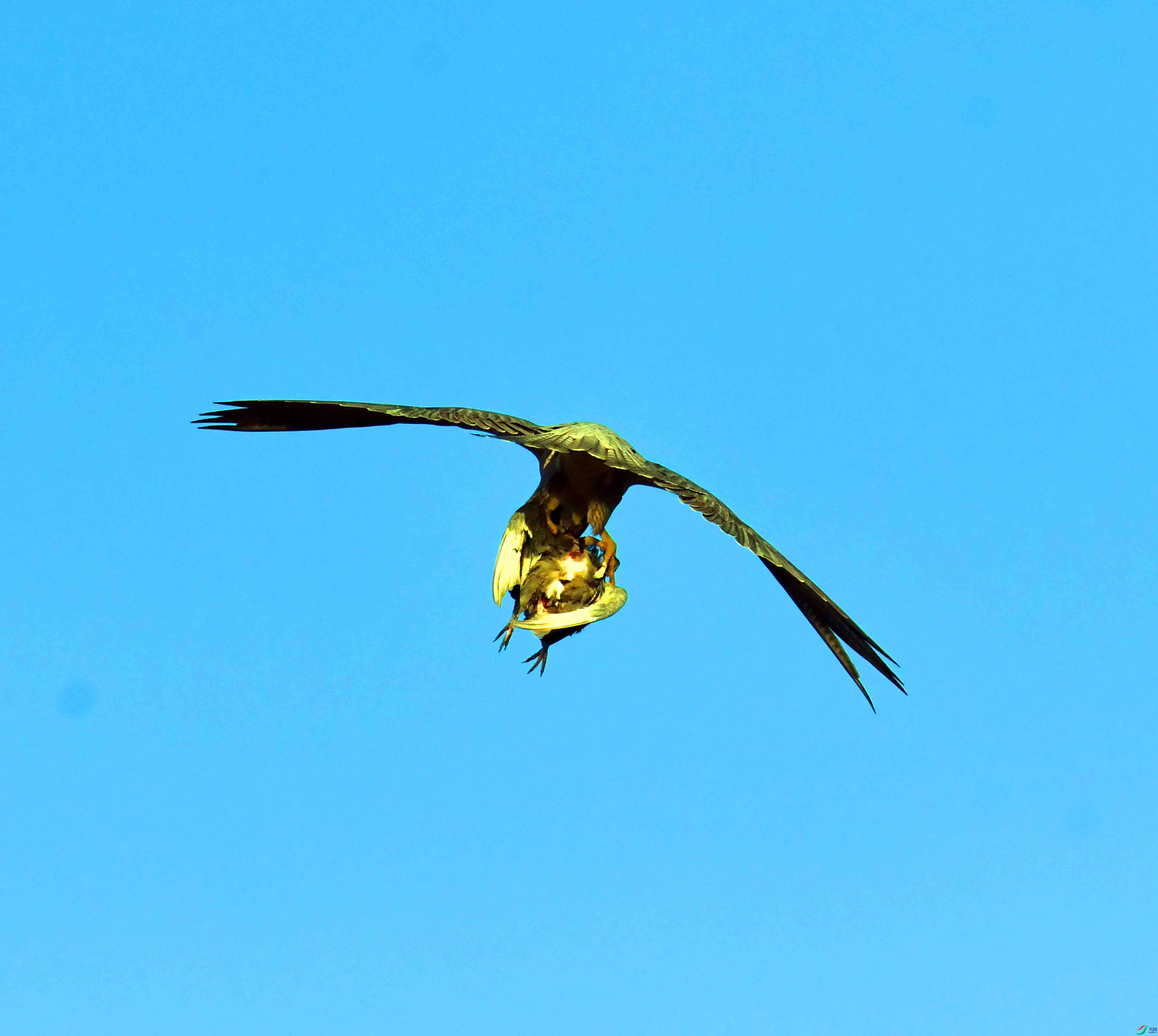 DSC_4813.JPG