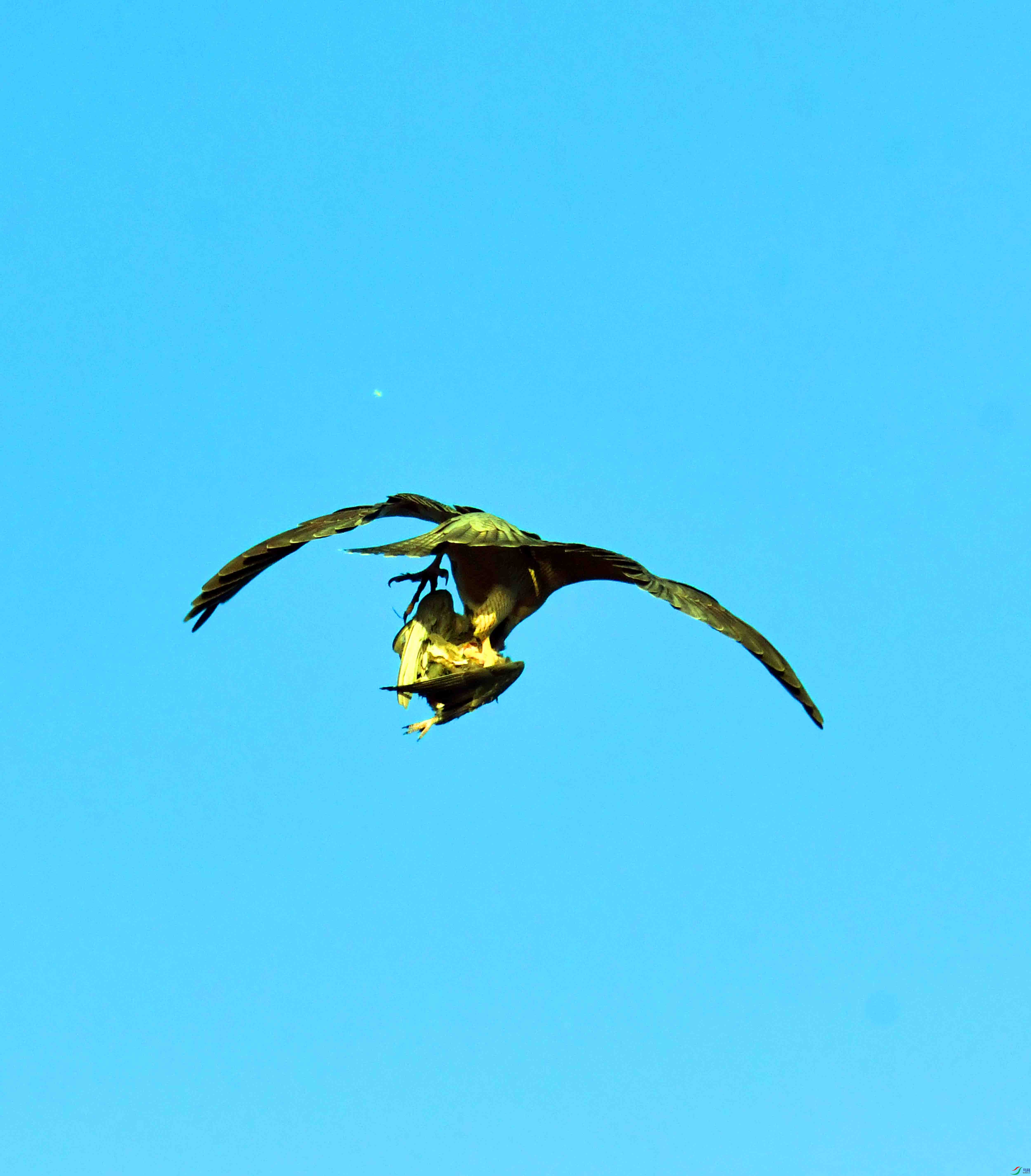 DSC_4817.JPG