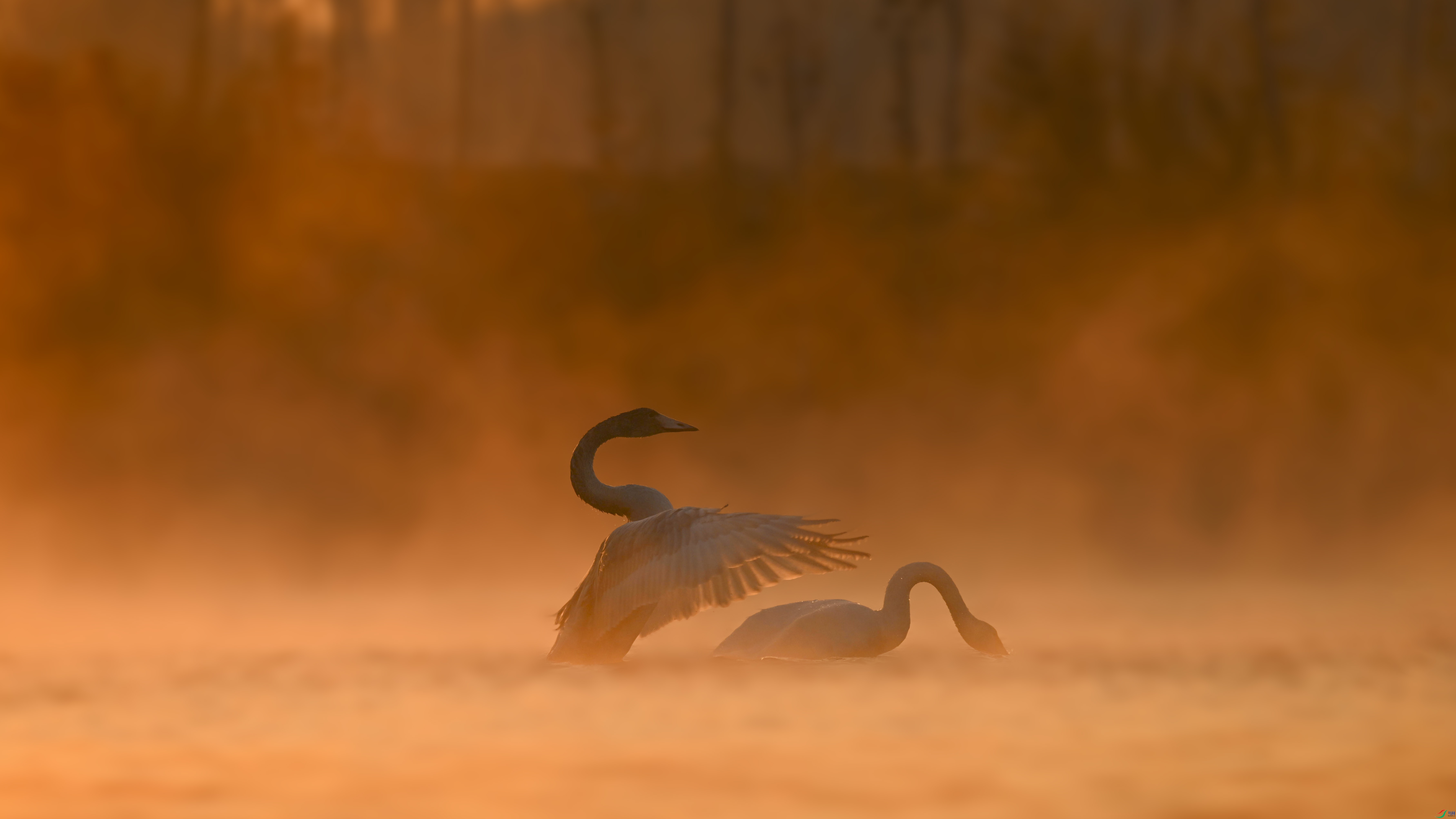 DSC_2489_����.jpg