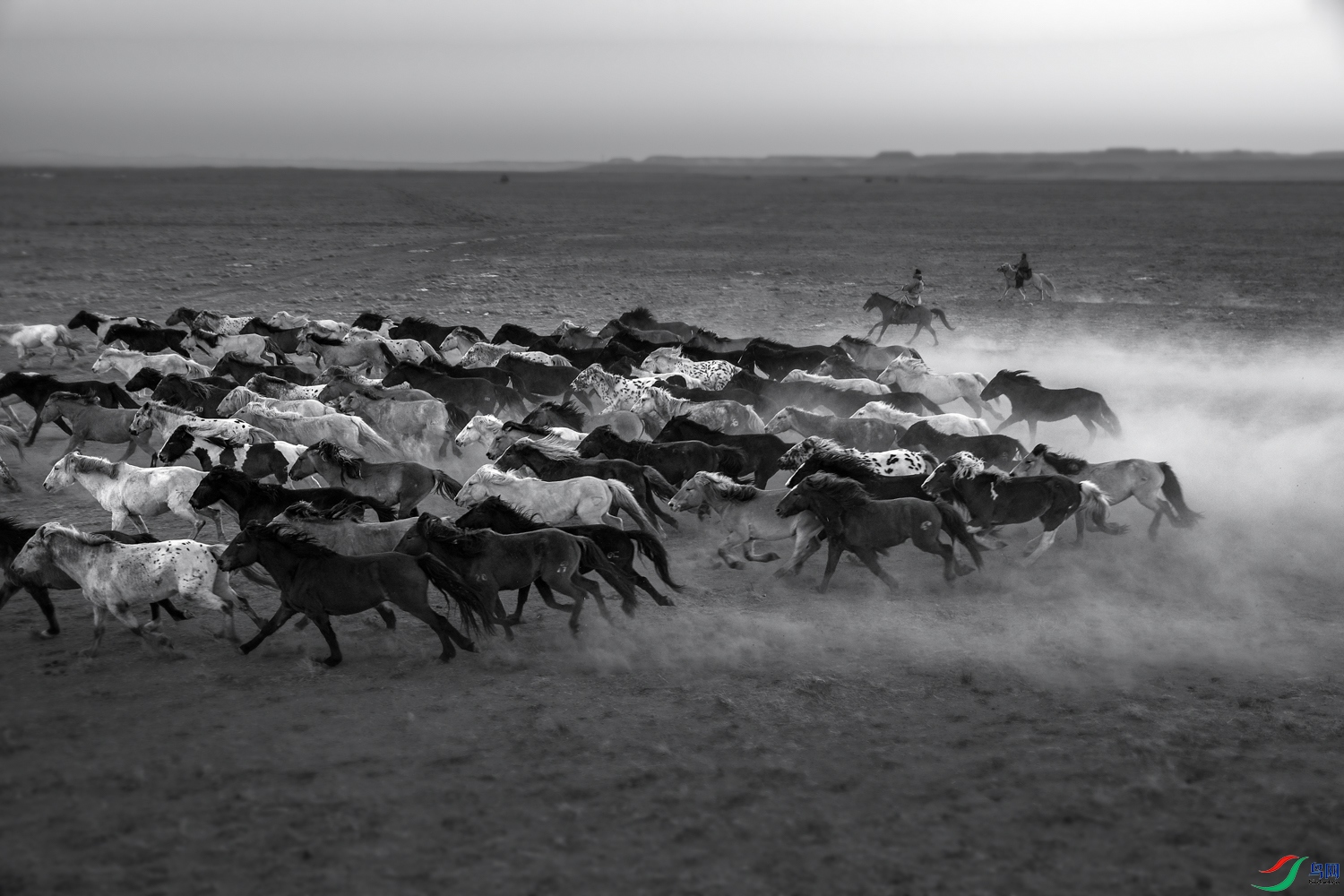 106A4876 ����.jpg