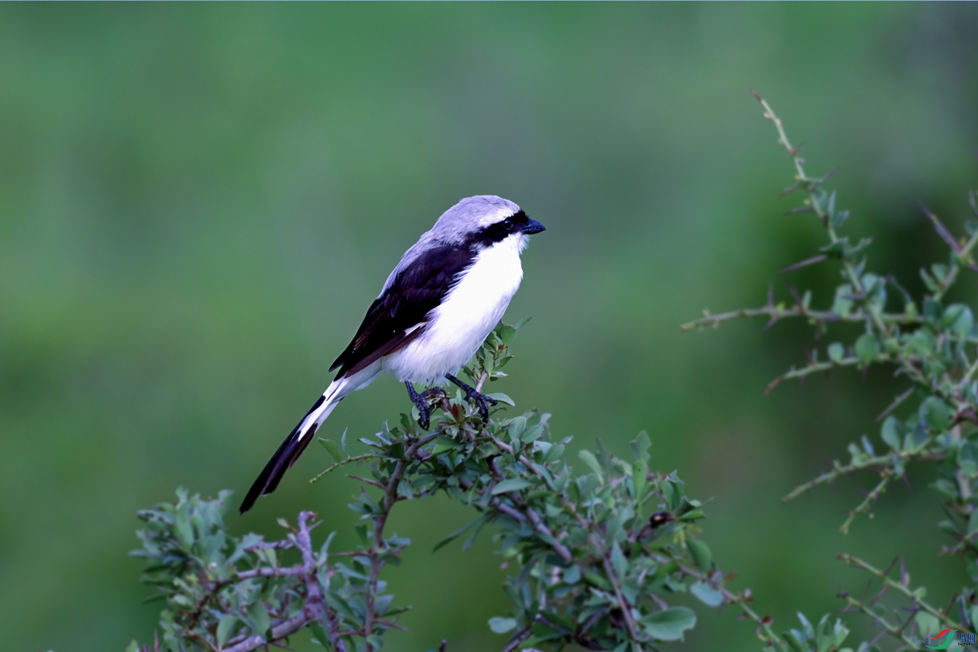 DSC_3423 ����.jpg