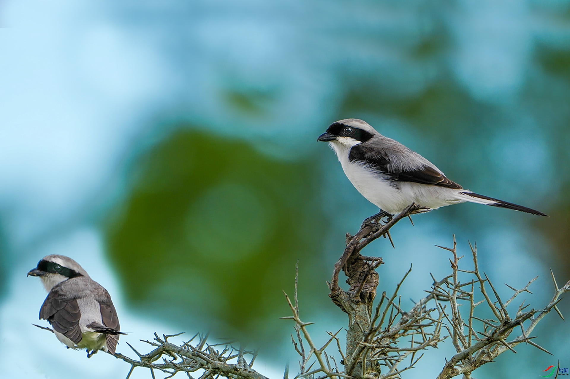 DSC_3388 ����.jpg