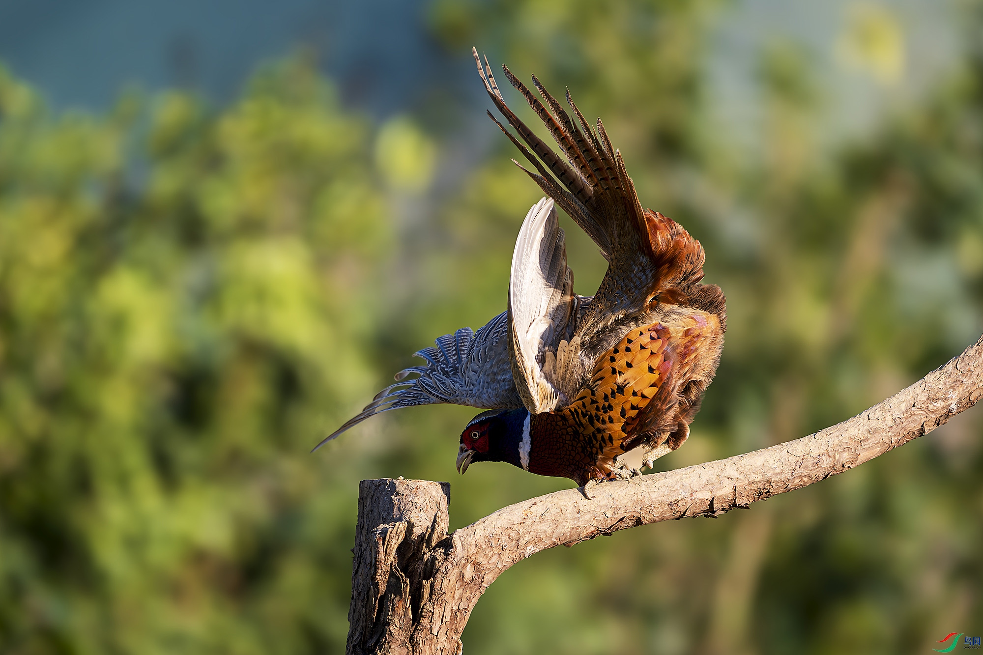 _DSC1620 ���� 2.jpg