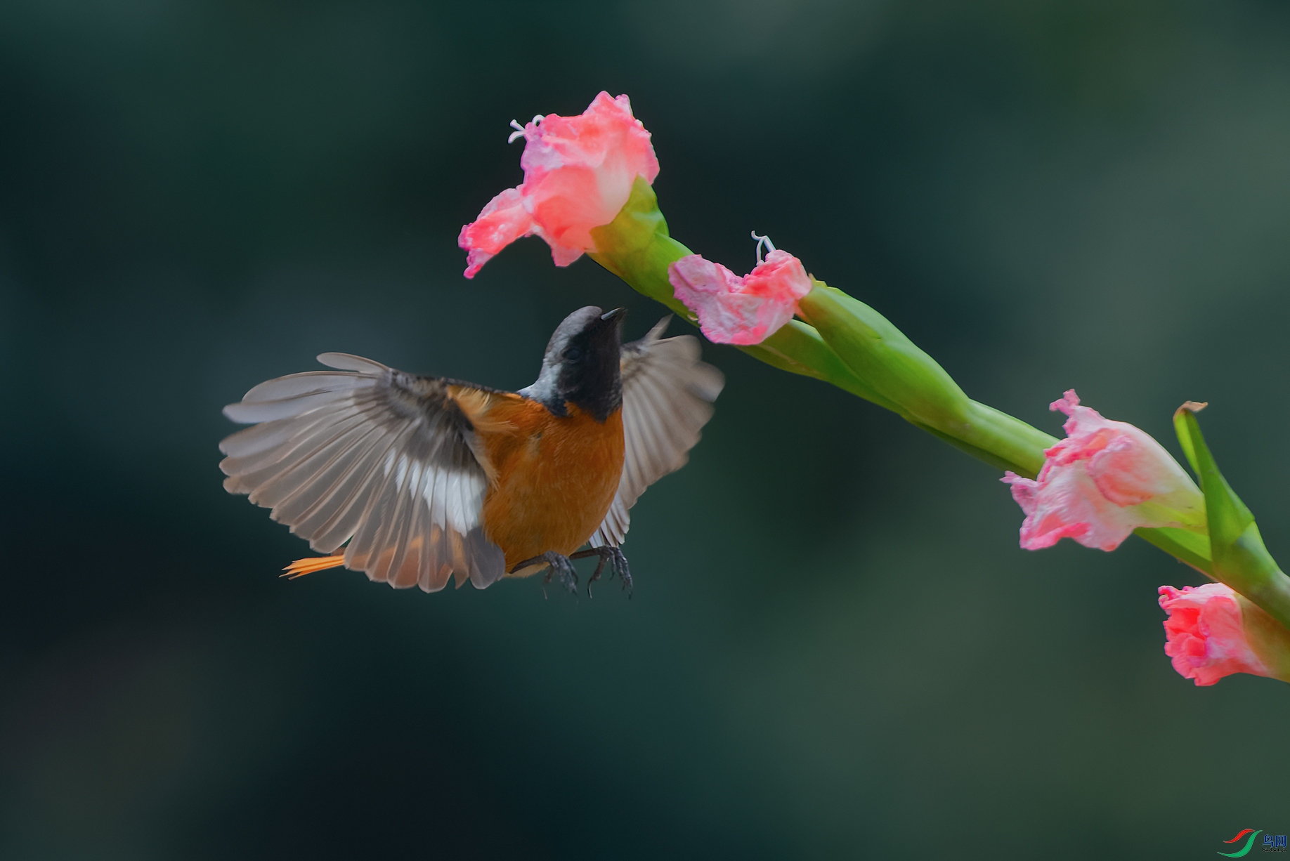 DSC_0058_DxOa.jpg