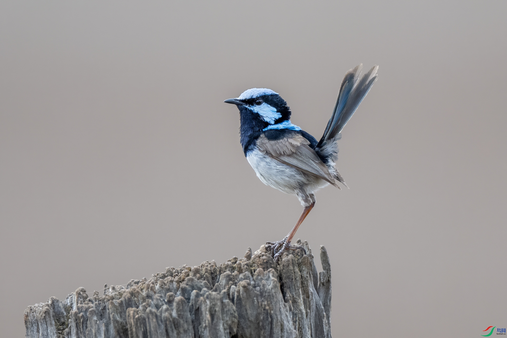 DSC_1705.jpg