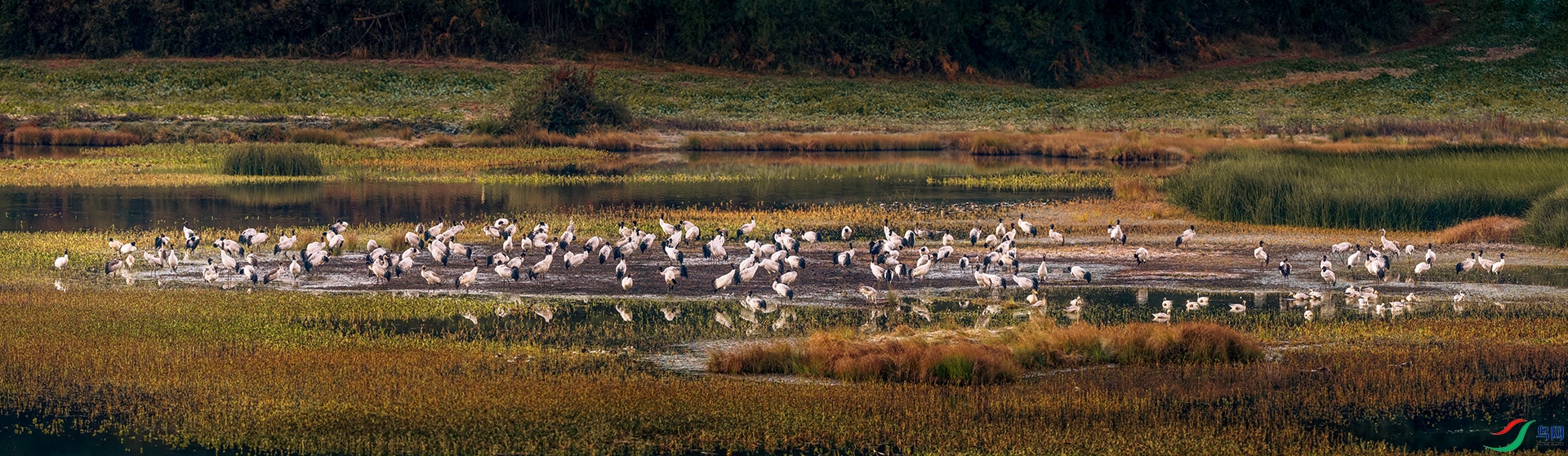A58A0008-Pano.jpg