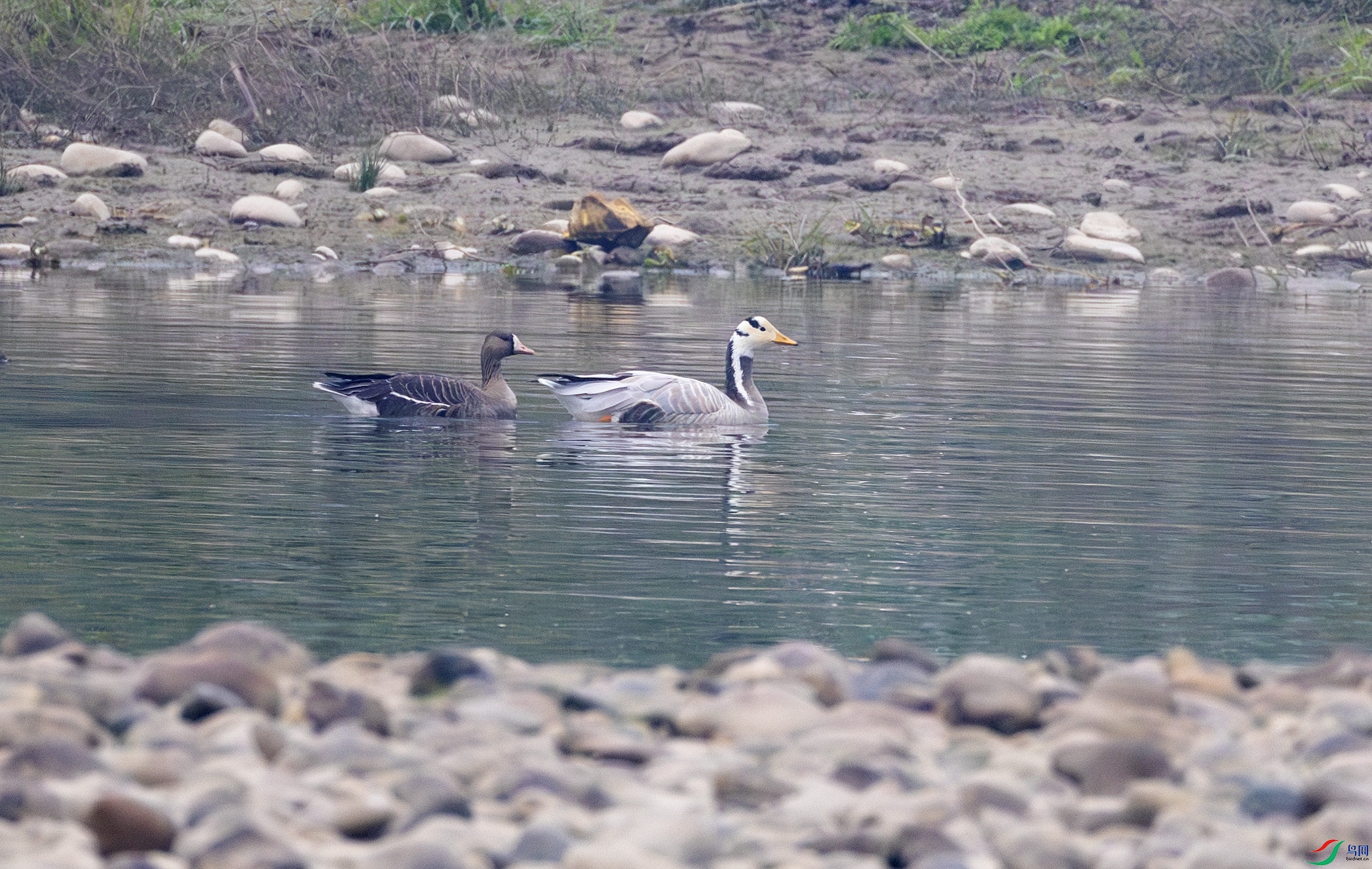 G47A6854-����ǿ-NR ����.jpg