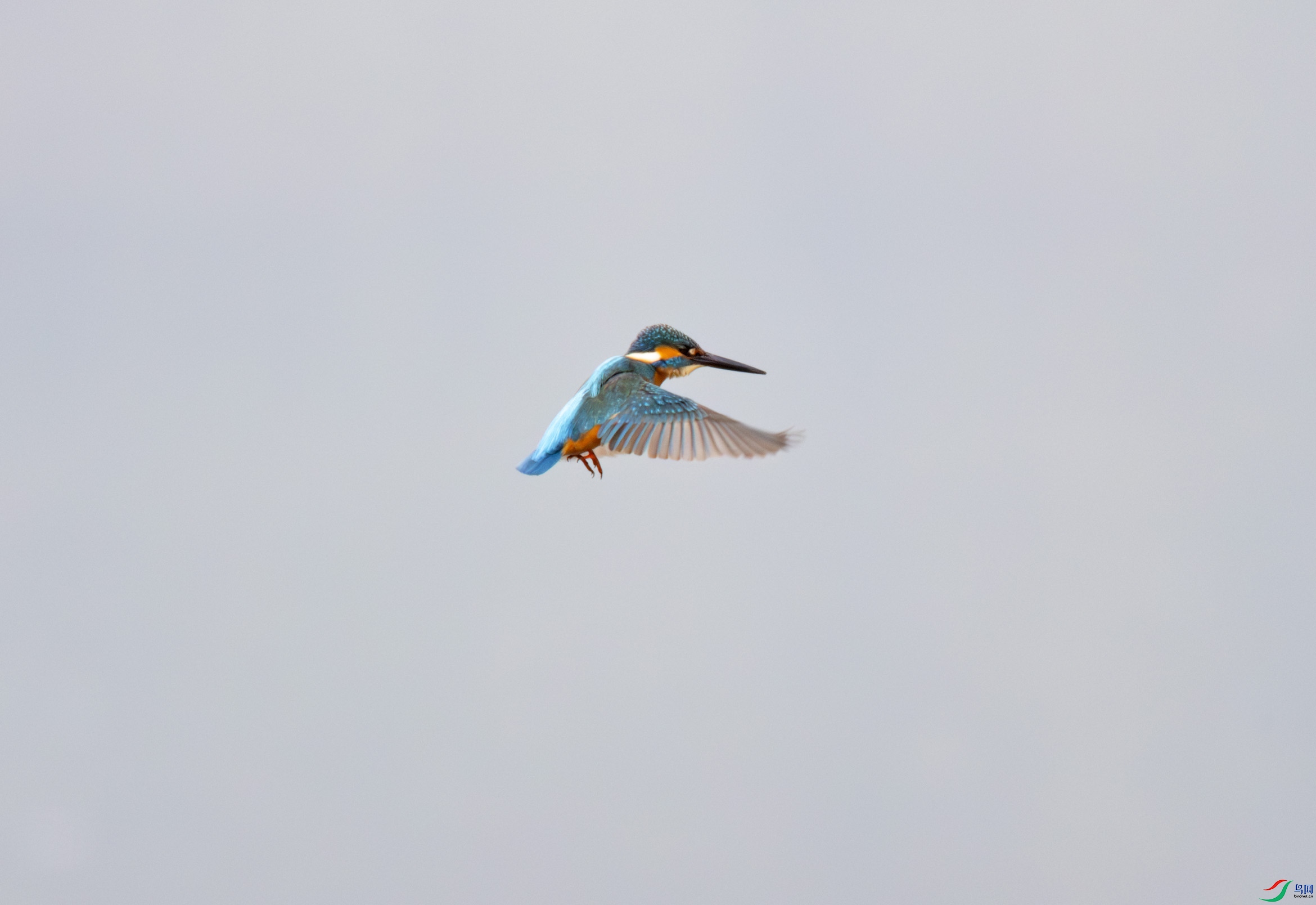 G47A8320-����ǿ-NR ����.jpg