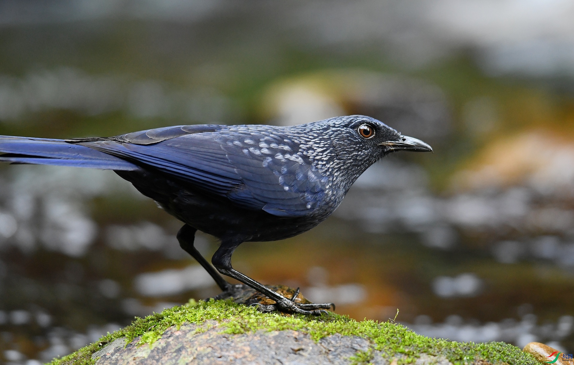 DSC_2844.jpg